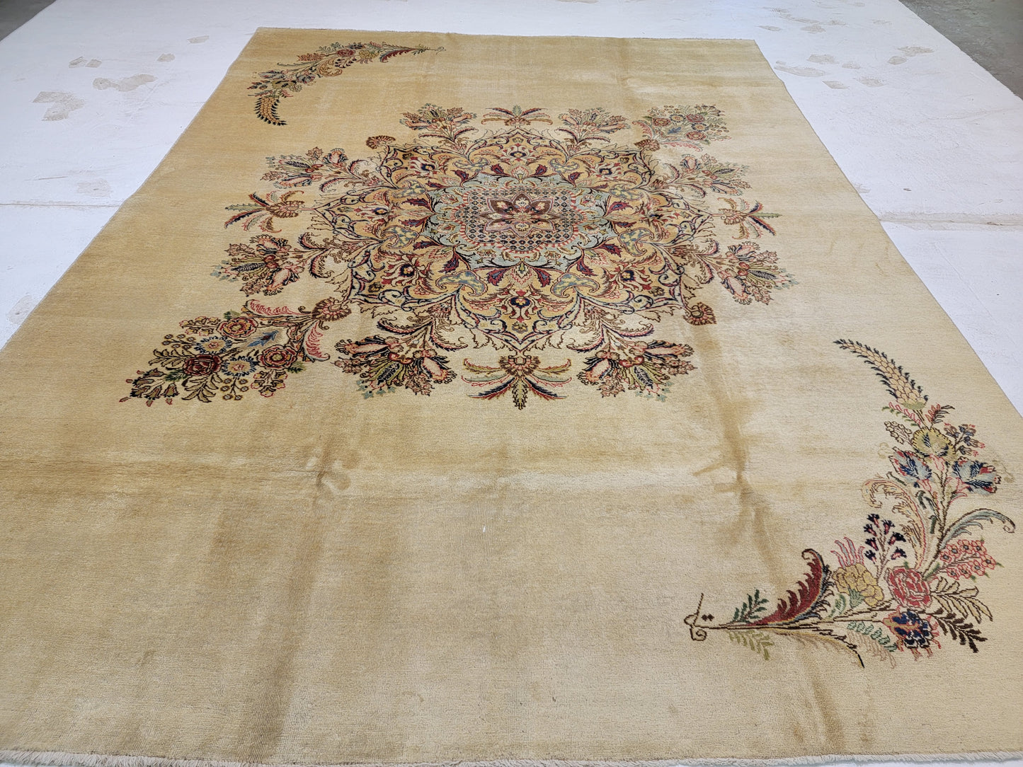 Hand-Knotted Wool Rug Persian Tabriz Open field medallion 9'3" x 12'8"