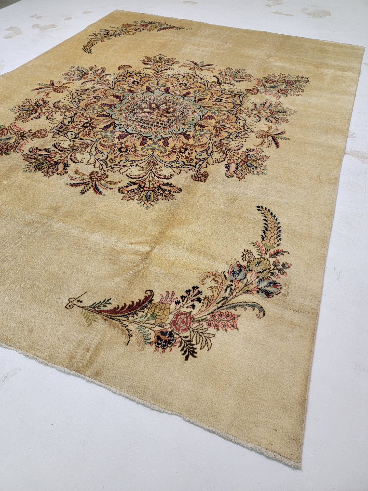 Hand-Knotted Wool Rug Persian Tabriz Open field medallion 9'3" x 12'8"