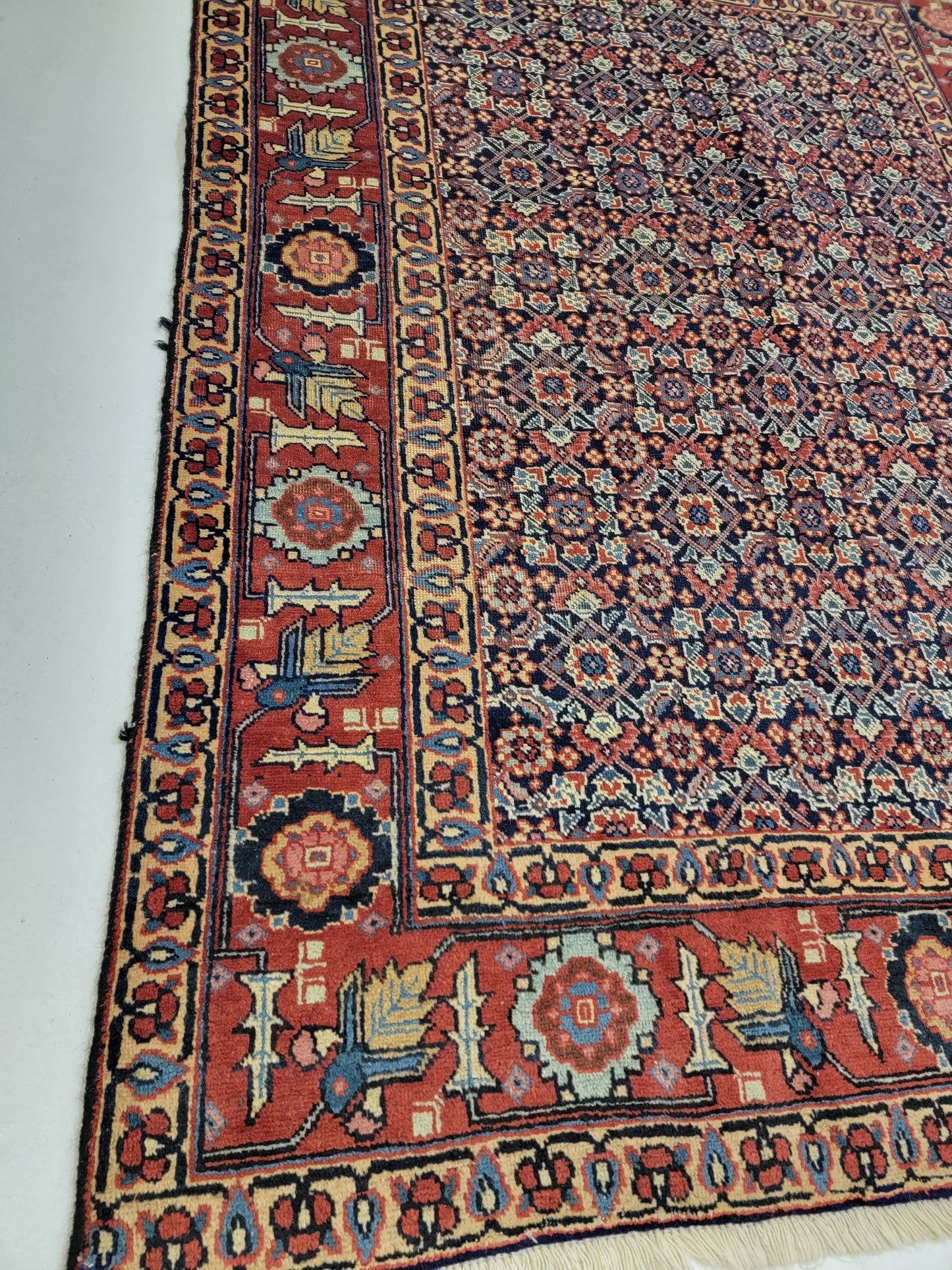 Hand-Knotted Wool Rug Tabriz 4'5" x 6'1"