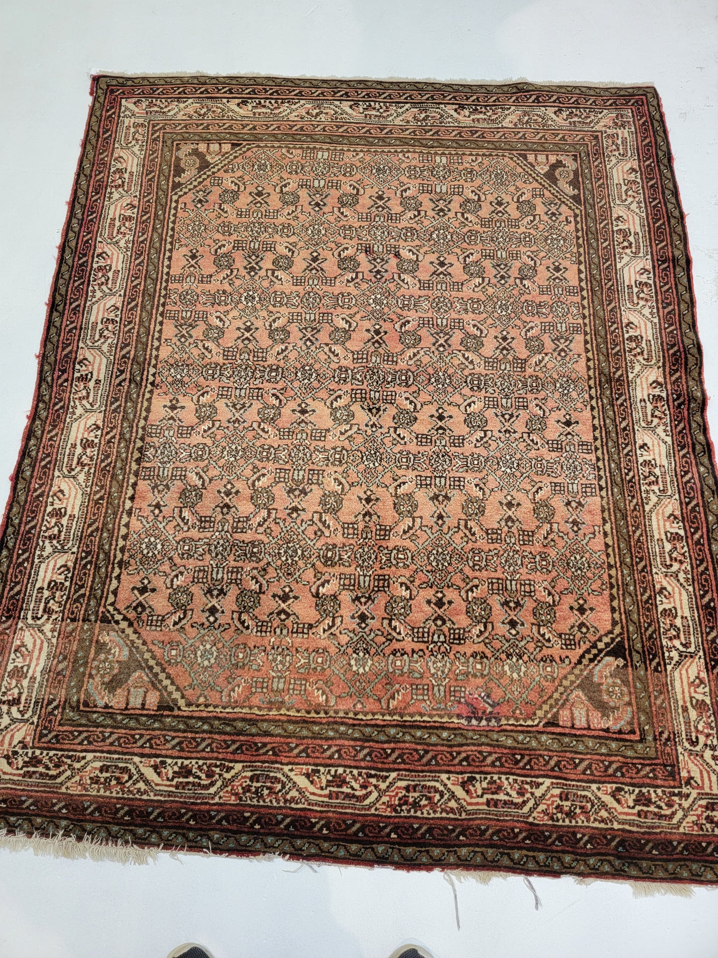 Hand-Knotted Wool Hamedan Hossein Abad 5'1" x 6'4"