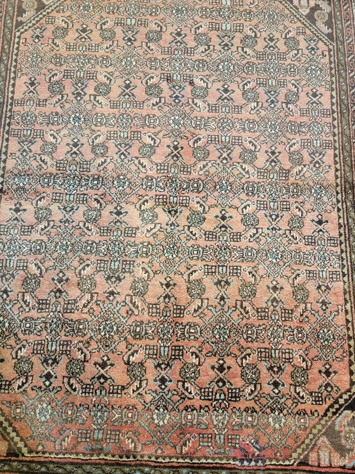 Hand-Knotted Wool Hamedan Hossein Abad 5'1" x 6'4"