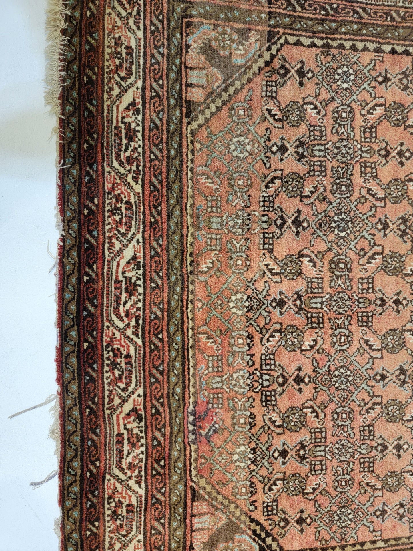 Hand-Knotted Wool Hamedan Hossein Abad 5'1" x 6'4"