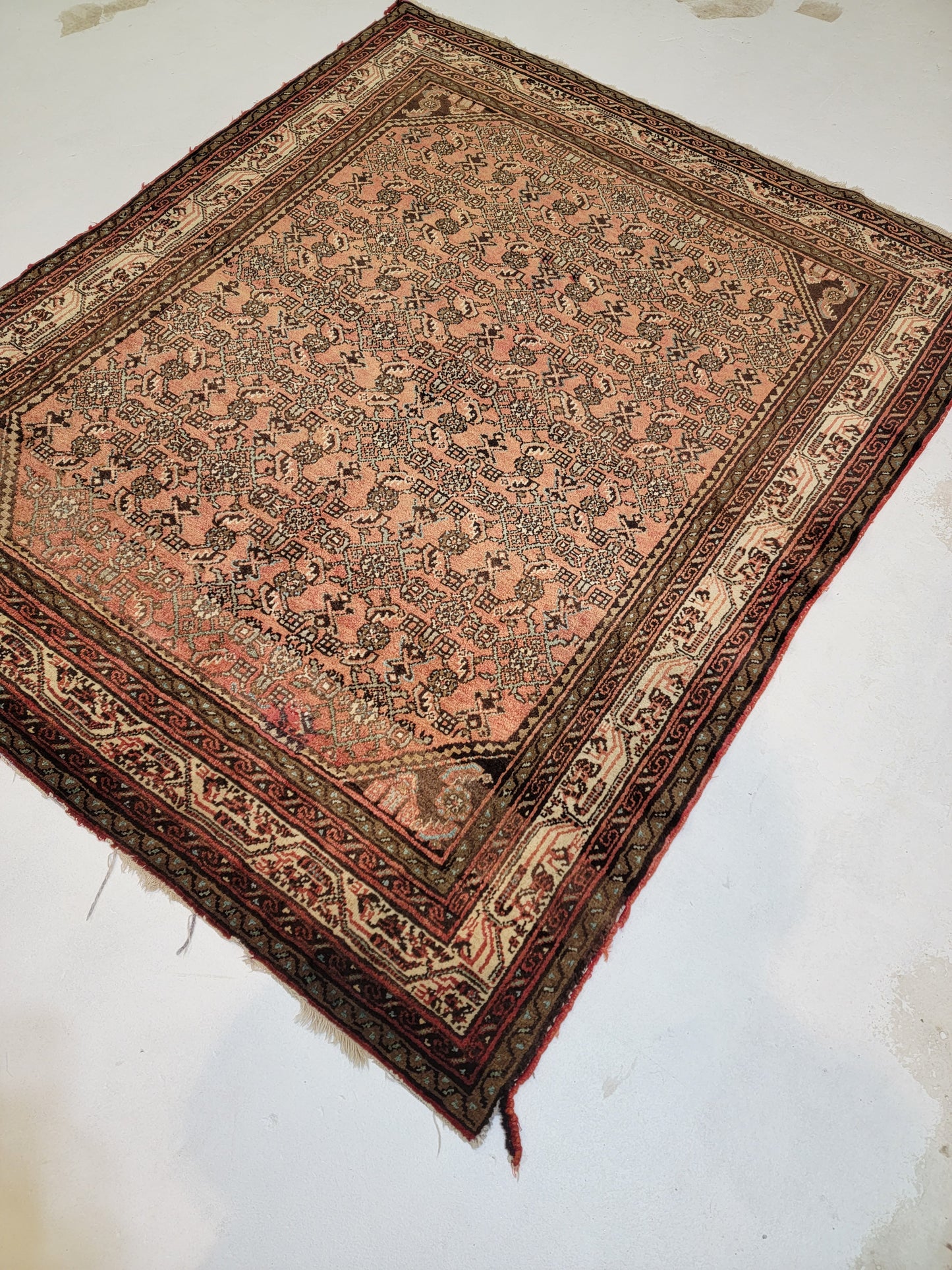 Hand-Knotted Wool Hamedan Hossein Abad 5'1" x 6'4"
