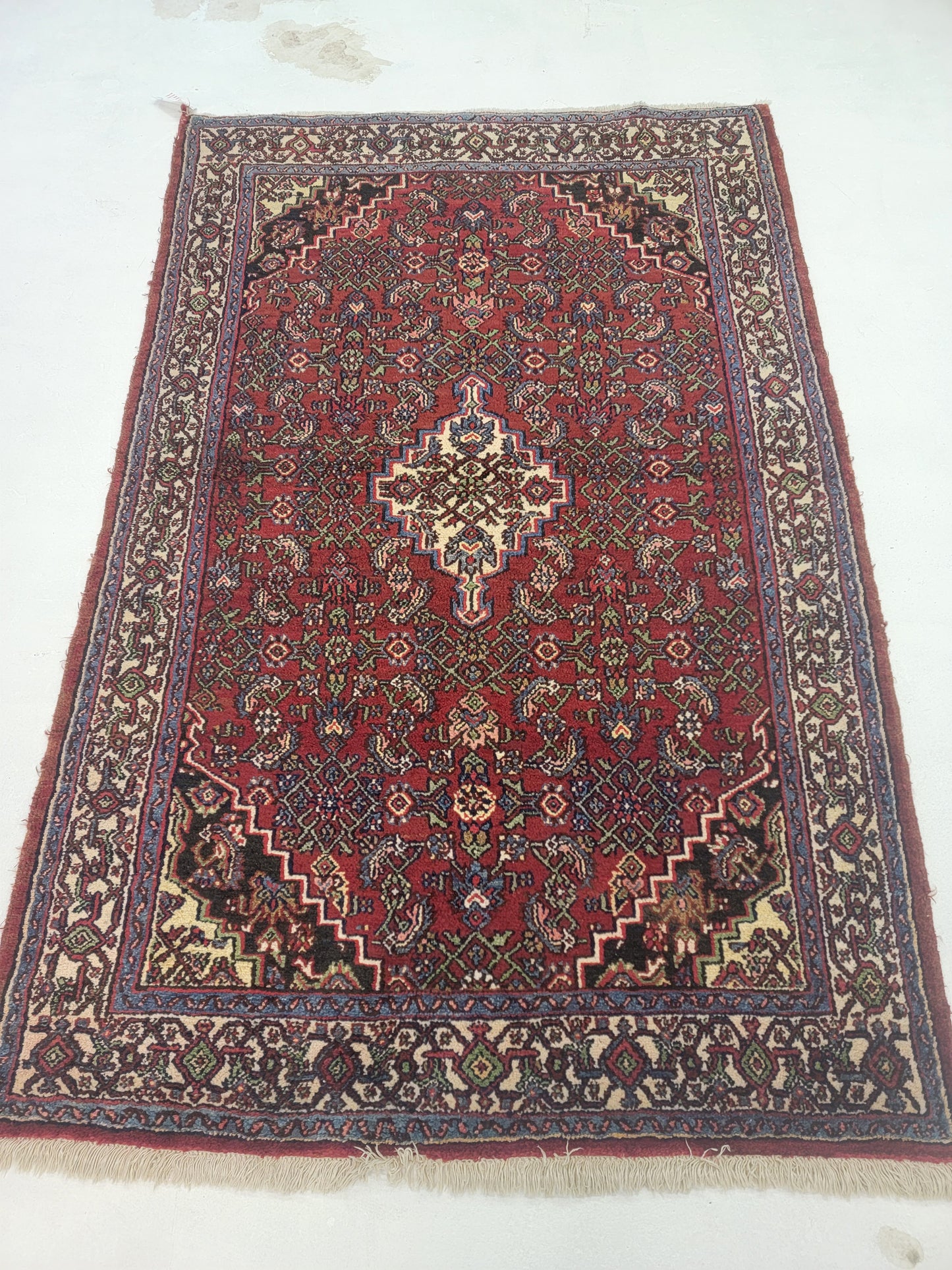 Hand-Knotted Wool persian Bibikabad 4'4" x 6'