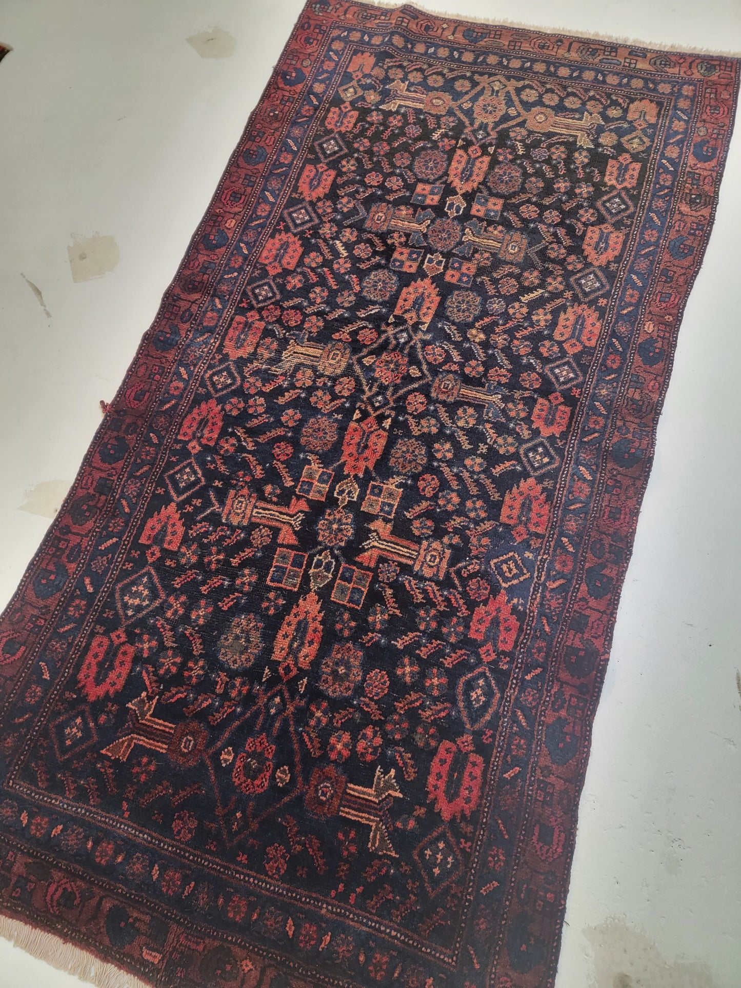 Hand-Knotted Wool Rug Kurdish 3'6" x 6'11"