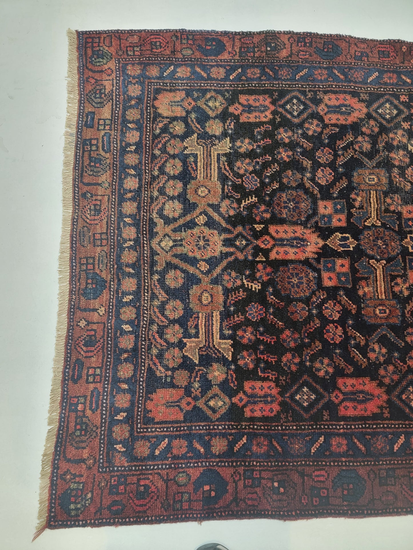 Hand-Knotted Wool Rug Kurdish 3'6" x 6'11"