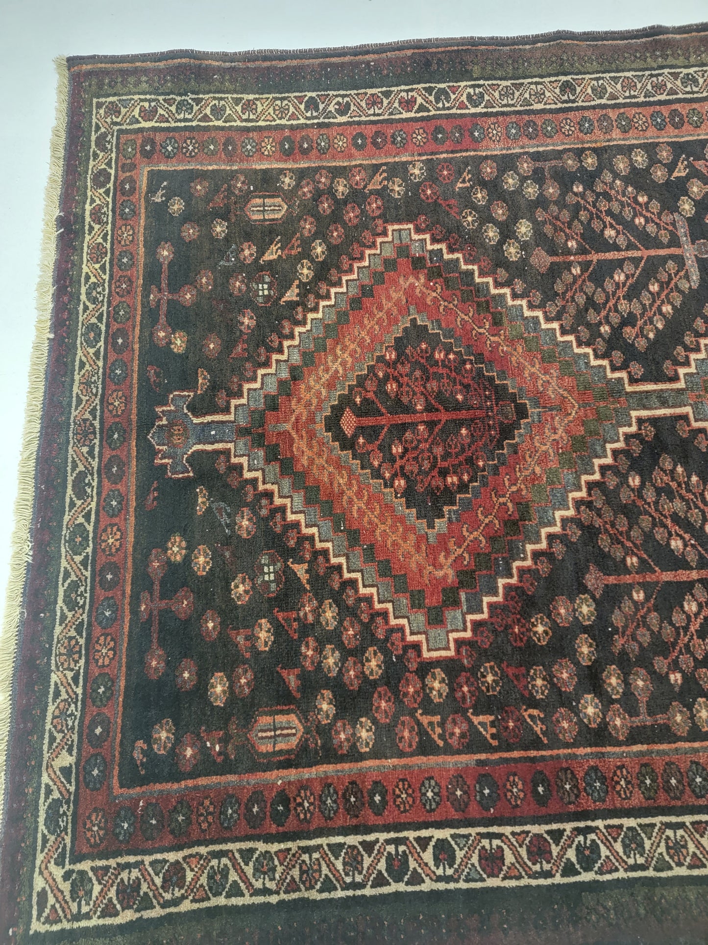 Hand-Knotted Wool Rug Afshar 5' x 6'7"