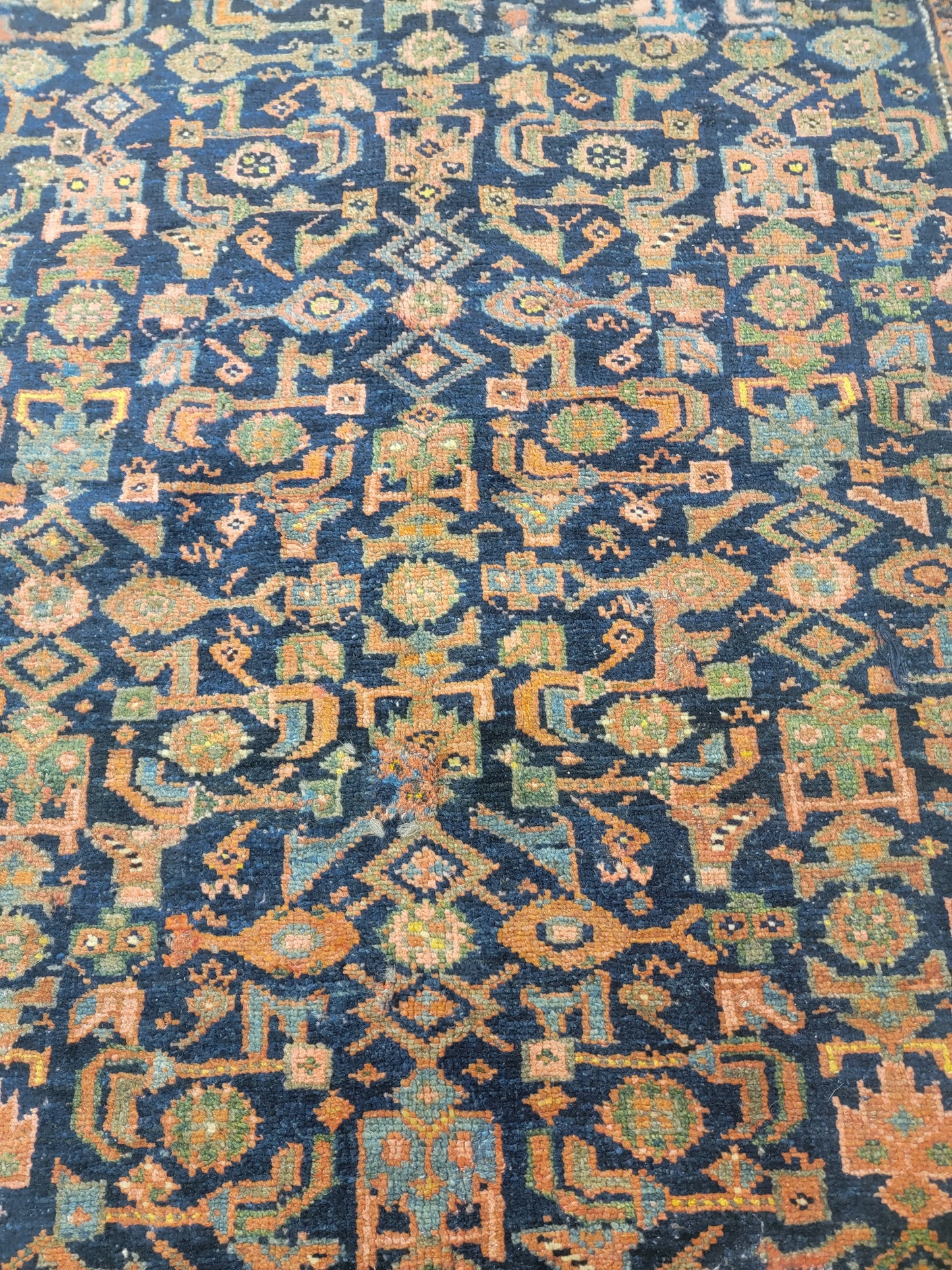 Hand-Knotted Wool Rug Kurdish 3'10" x 6'5"