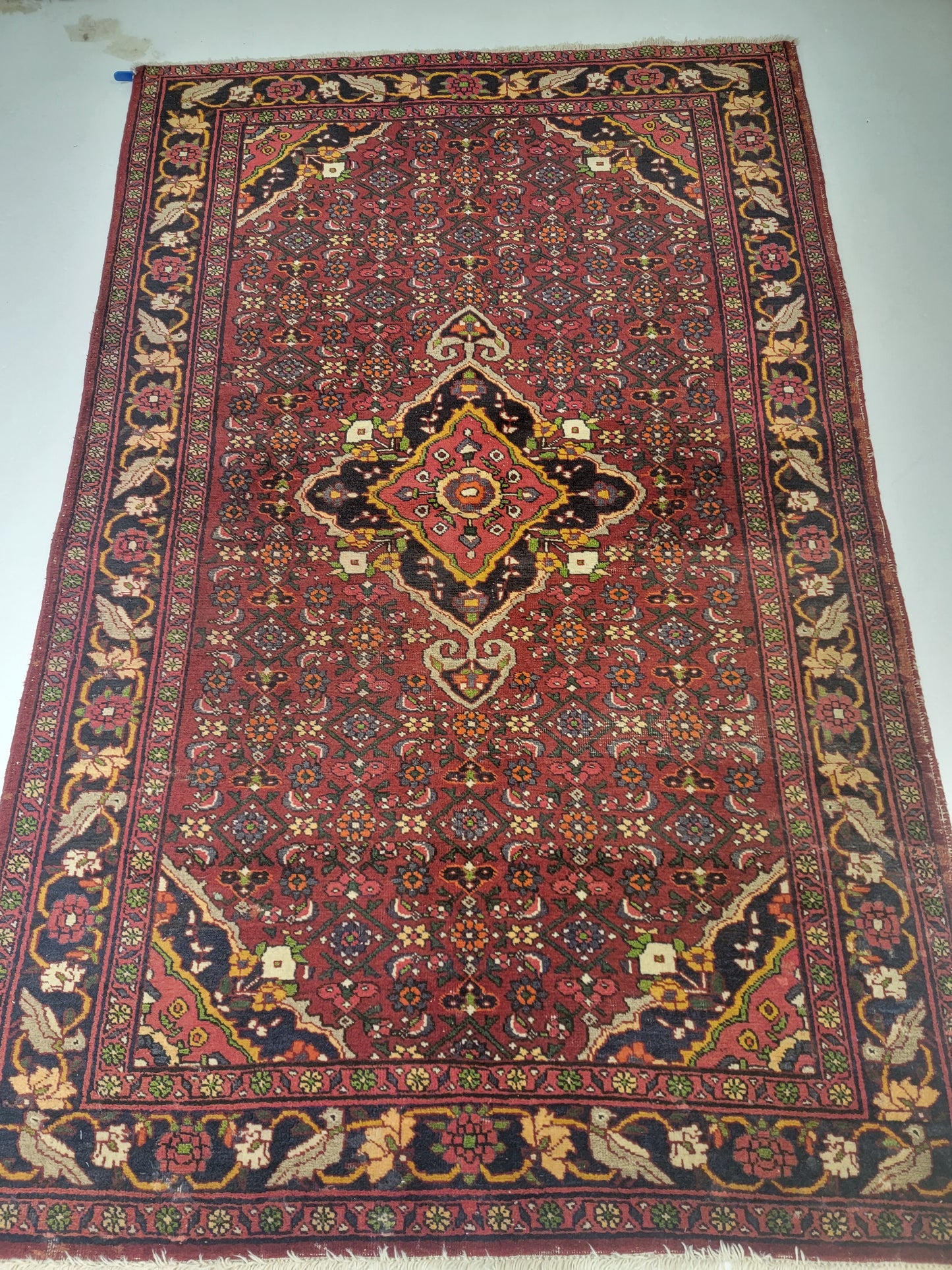 Hand-Knotted Wool Rug Bijar 4'5" x 6'11"