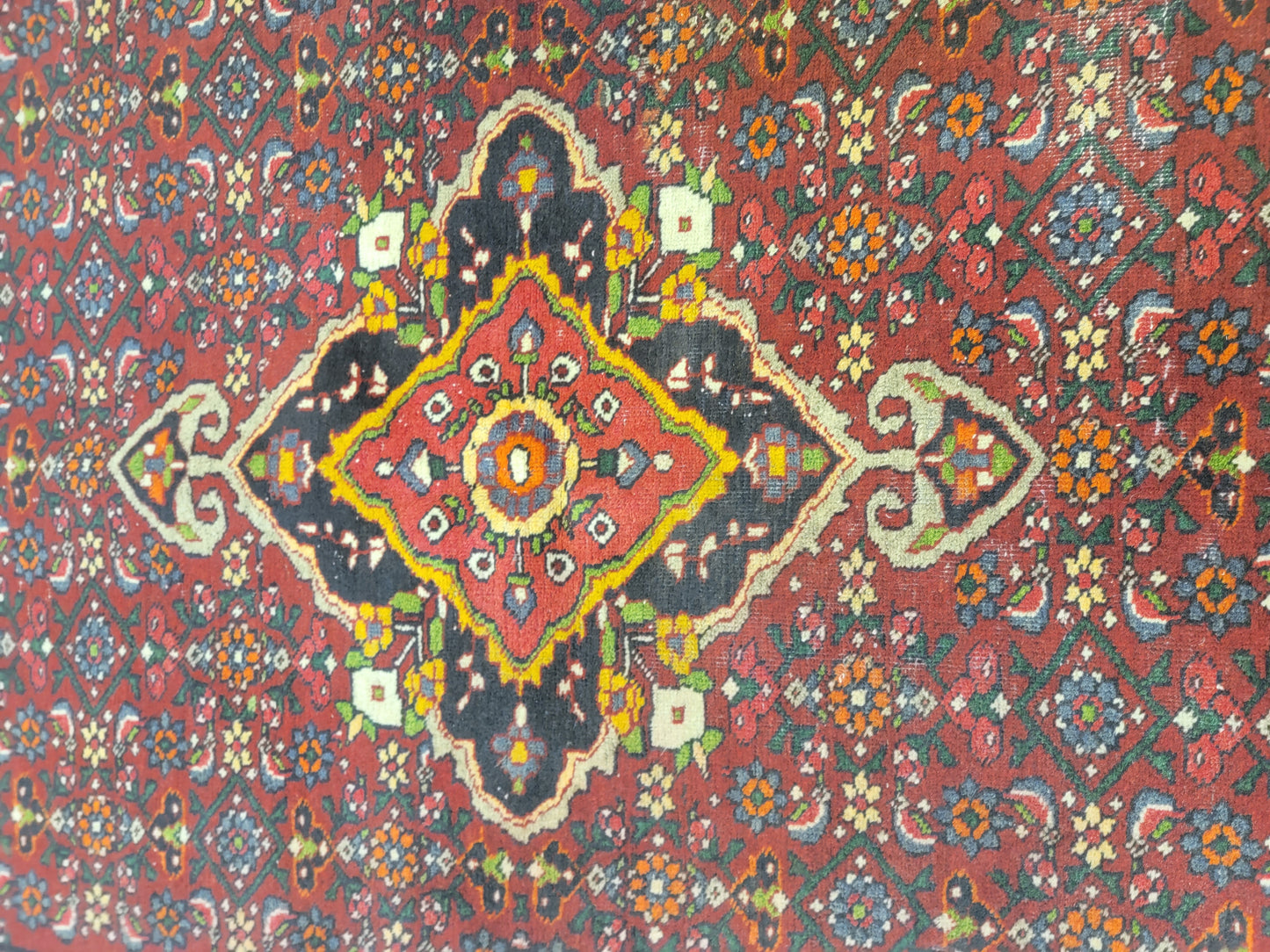 Hand-Knotted Wool Rug Bijar 4'5" x 6'11"