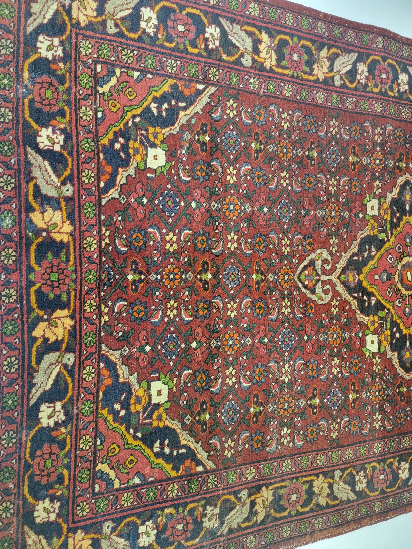Hand-Knotted Wool Rug Bijar 4'5" x 6'11"
