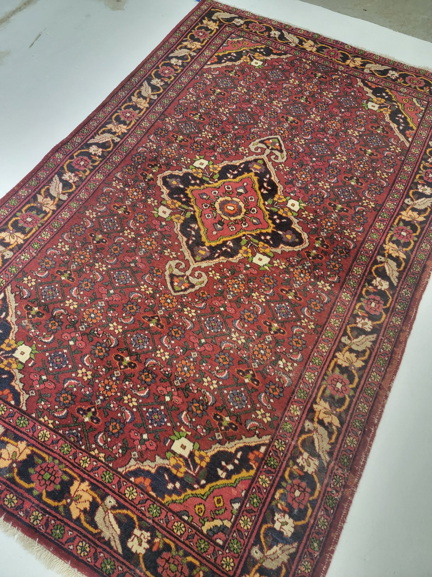 Hand-Knotted Wool Rug Bijar 4'5" x 6'11"