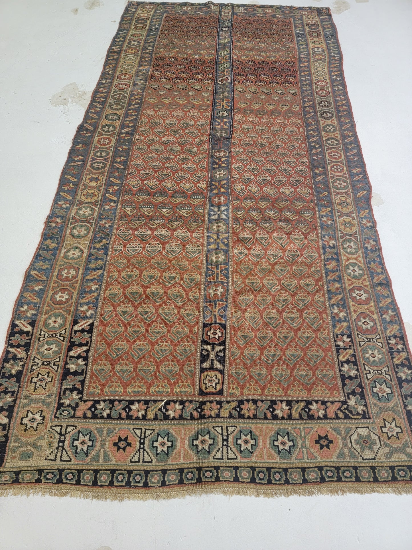 Hand-Knotted Wool Gallery Size Saraband 4'8" x 10'6"