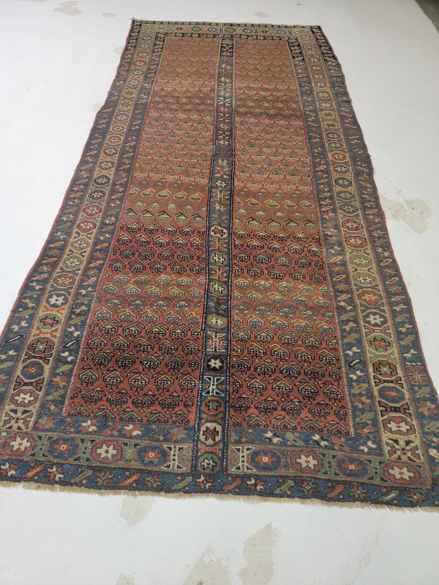 Hand-Knotted Wool Gallery Size Saraband 4'8" x 10'6"