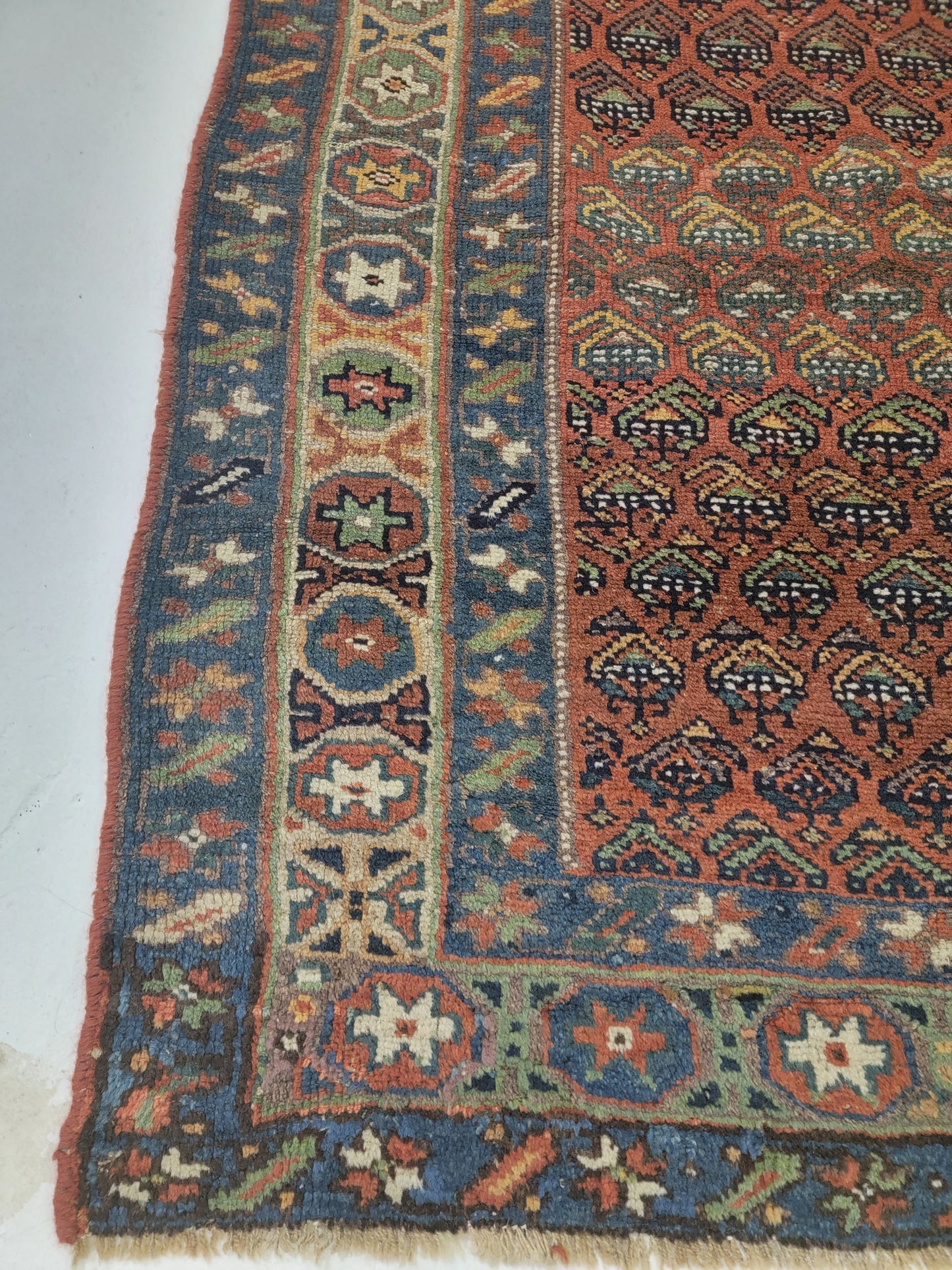Hand-Knotted Wool Gallery Size Saraband 4'8" x 10'6"