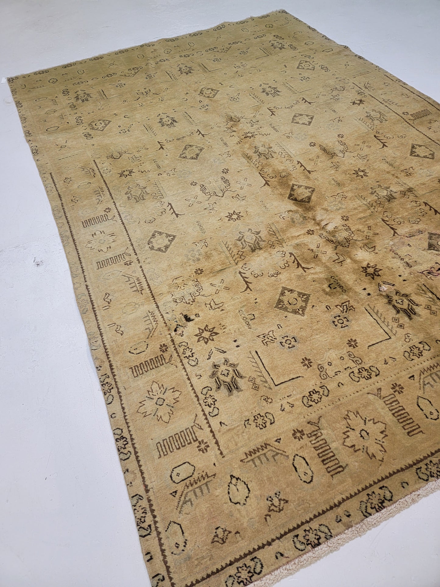 Hand-Knotted Wool Rug Tabriz Tea Washed 6'5" x 9'8"