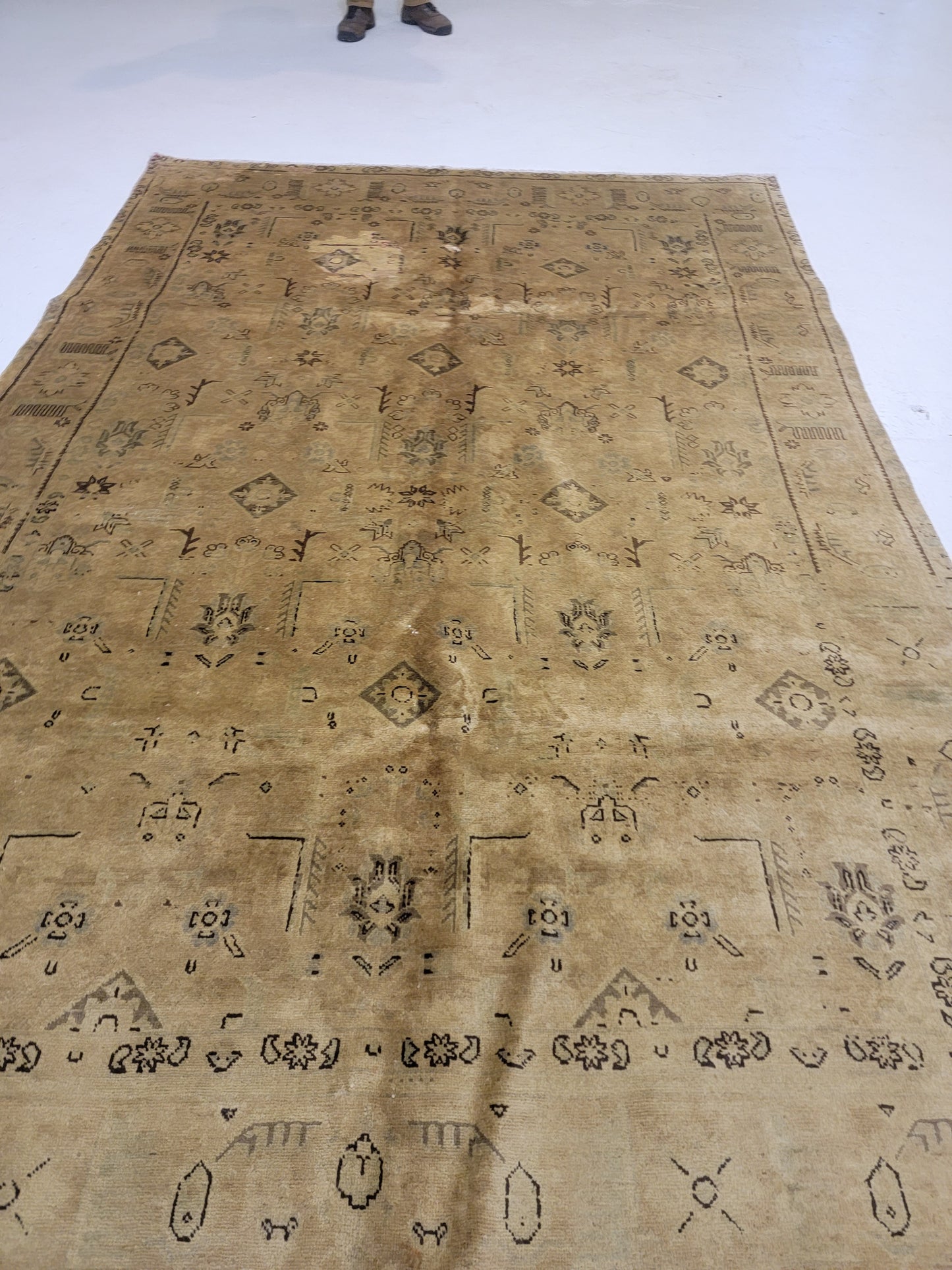 Hand-Knotted Wool Rug Tabriz Tea Washed 6'5" x 9'8"