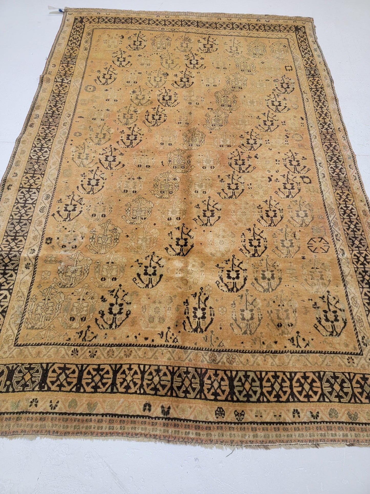 Hand-Knotted Wool Rug Shiraz 5'2" x 7'10"