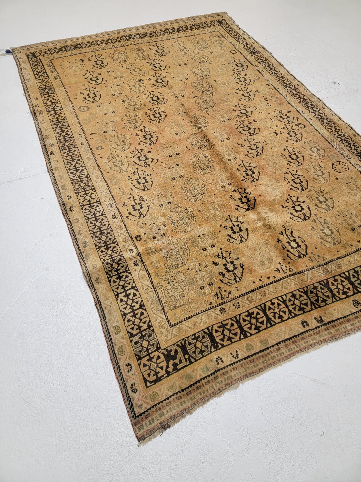 Hand-Knotted Wool Rug Shiraz 5'2" x 7'10"