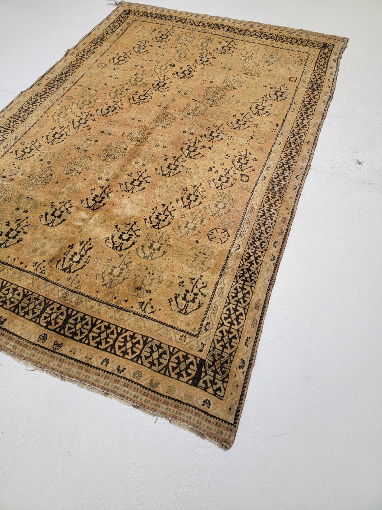 Hand-Knotted Wool Rug Shiraz 5'2" x 7'10"