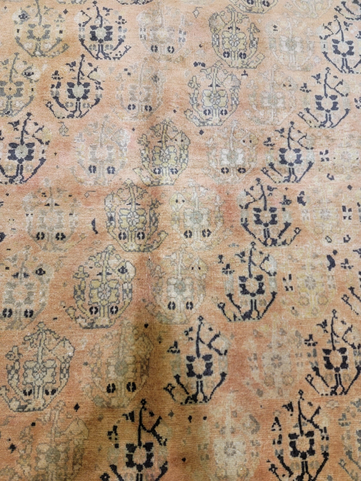 Hand-Knotted Wool Rug Shiraz 5'2" x 7'10"