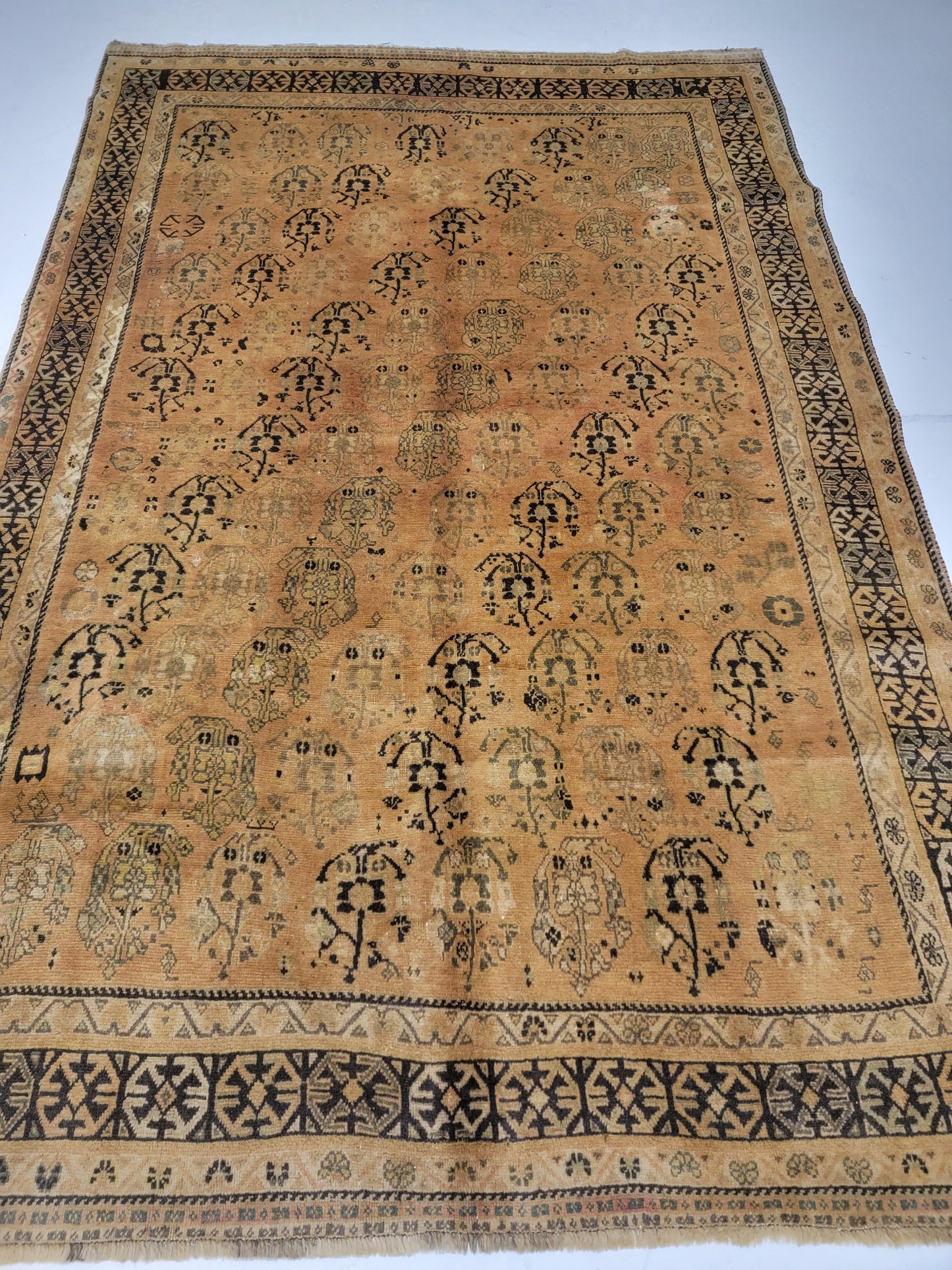 Hand-Knotted Wool Rug Shiraz 5'2" x 7'10"