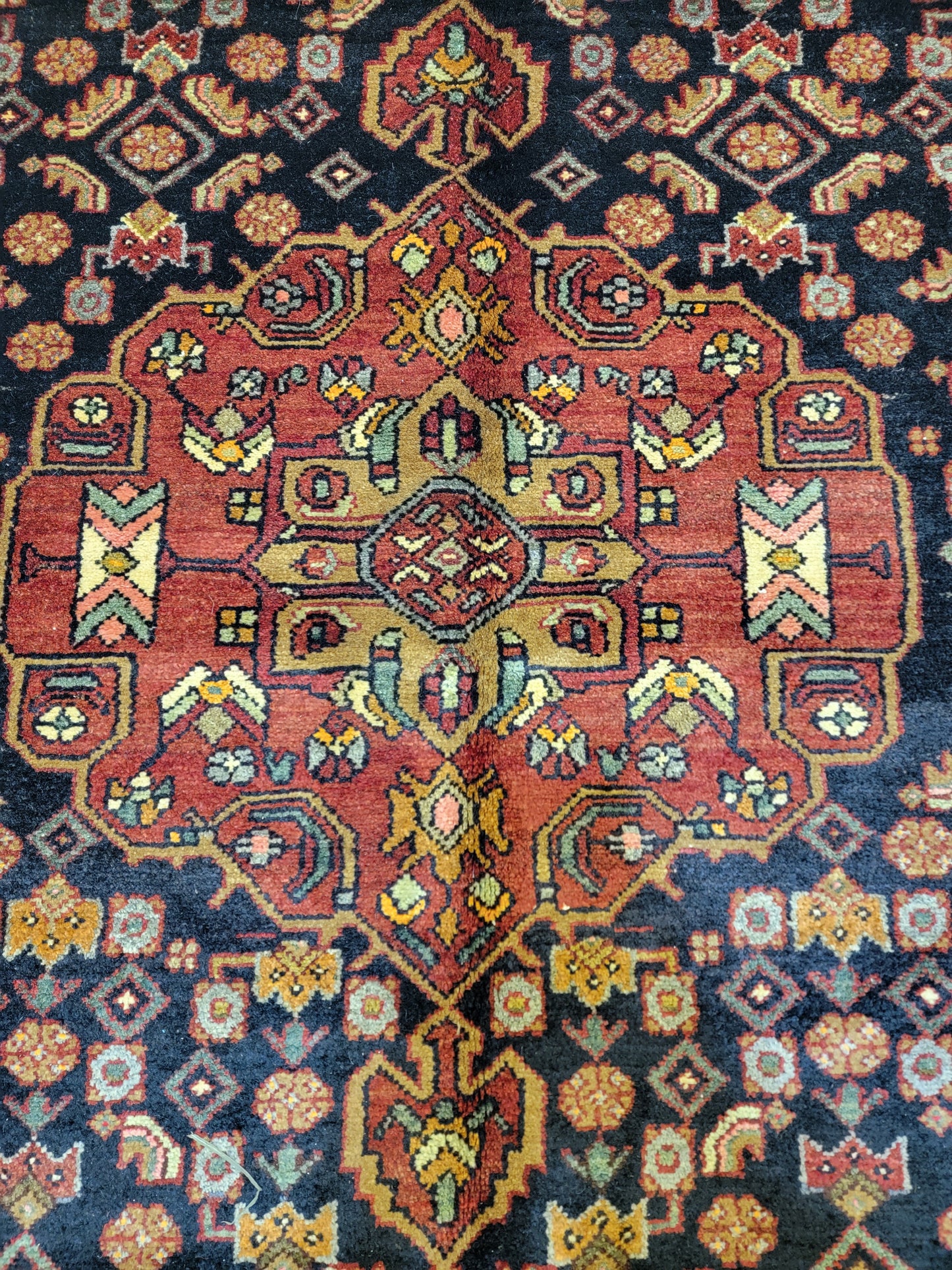 Hand-Knotted Wool Gallery Size Bakhtiari 5' x 11'3"