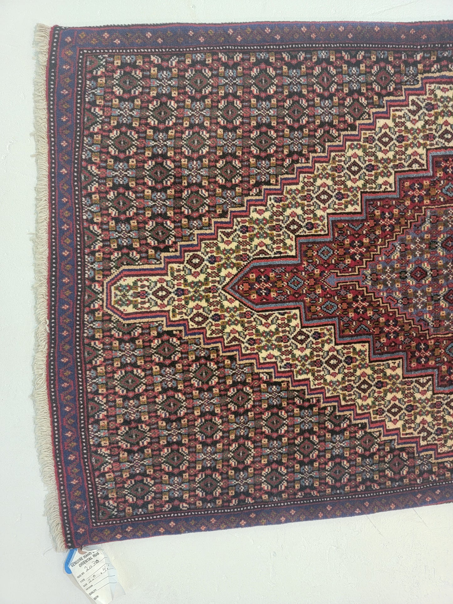 Hand-Knotted Wool Rug Kurdish Senneh 2'5" x 4'1"