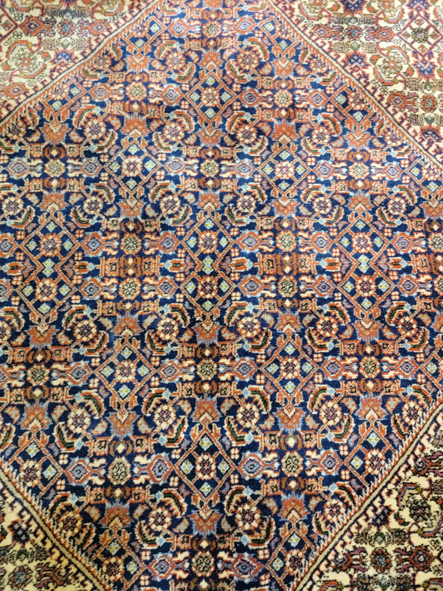 Antique Hand-Knotted Wool Area Rug Bijar Mahi 9'8" x 13'