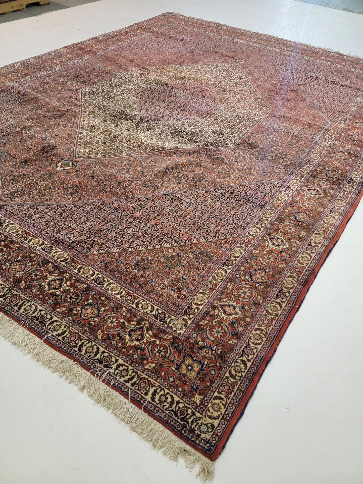 Antique Hand-Knotted Wool Area Rug Bijar Mahi 9'8" x 13'