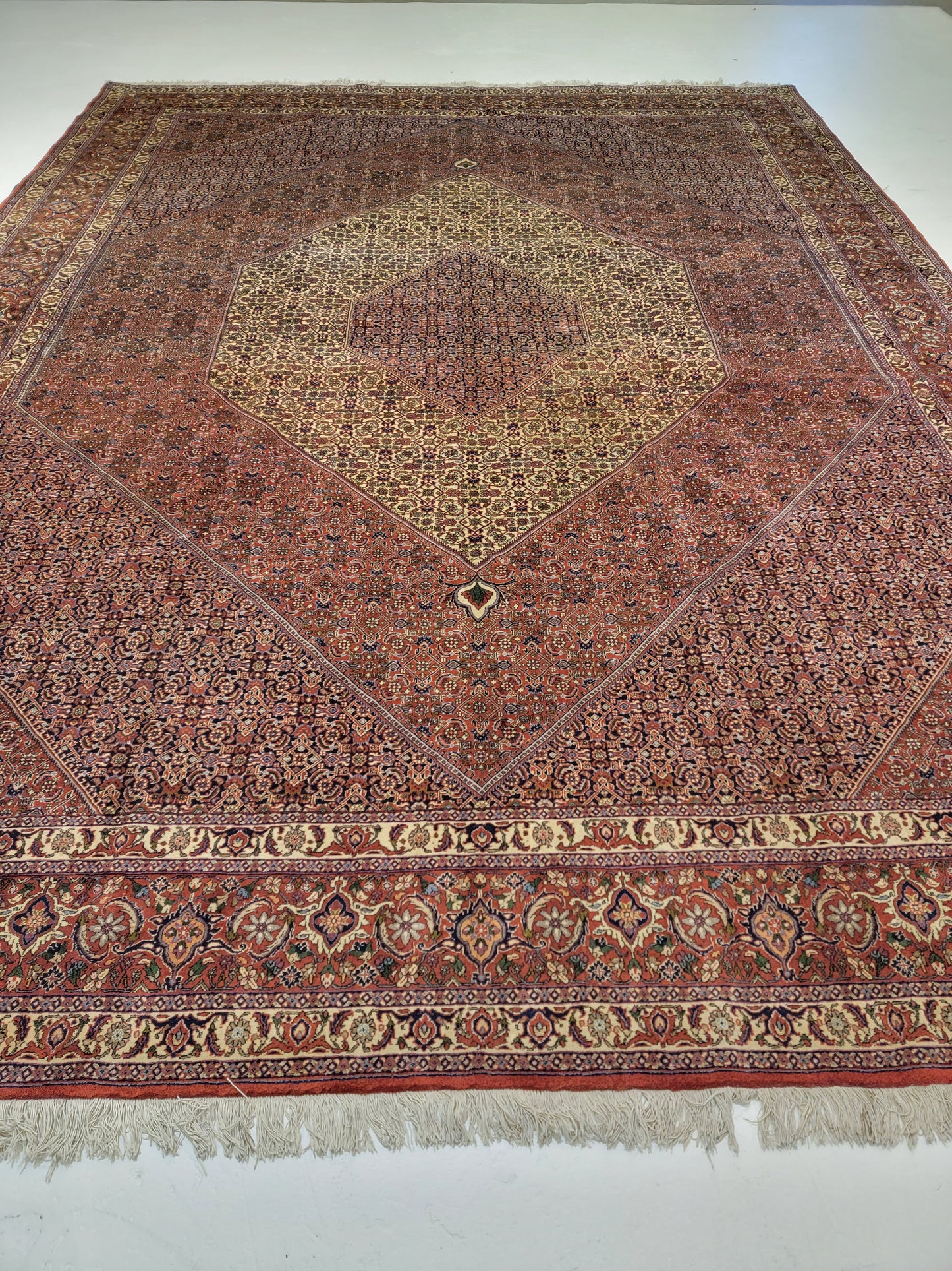 Antique Hand-Knotted Wool Area Rug Bijar Mahi 9'8" x 13'