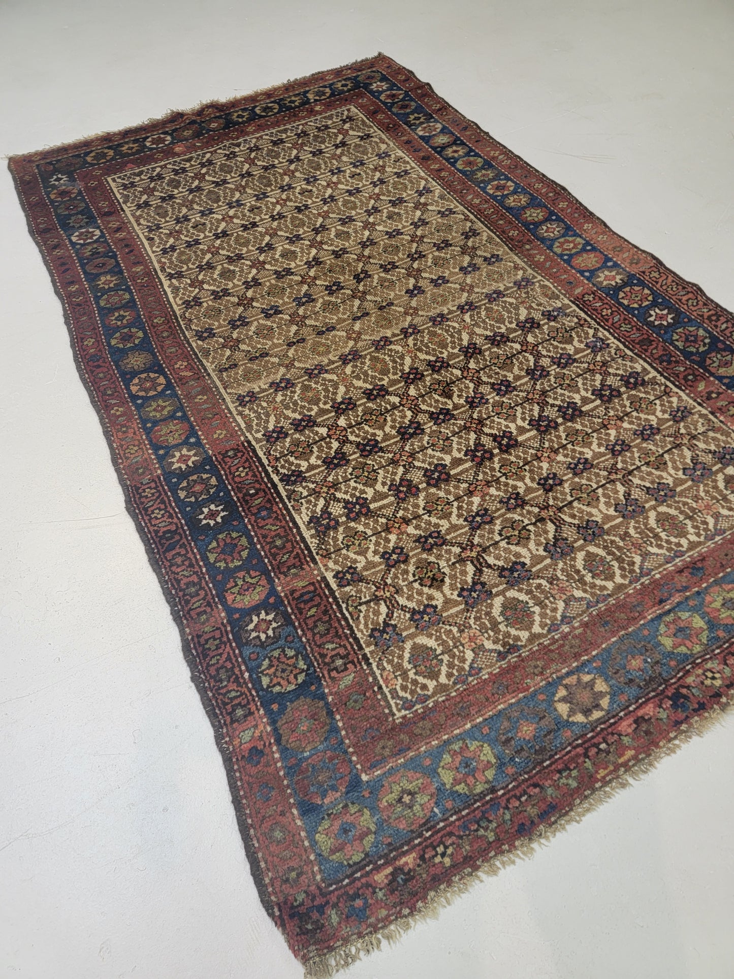 Antique Hand-Knotted Wool Area Rug Malayer 4'2" x 7'