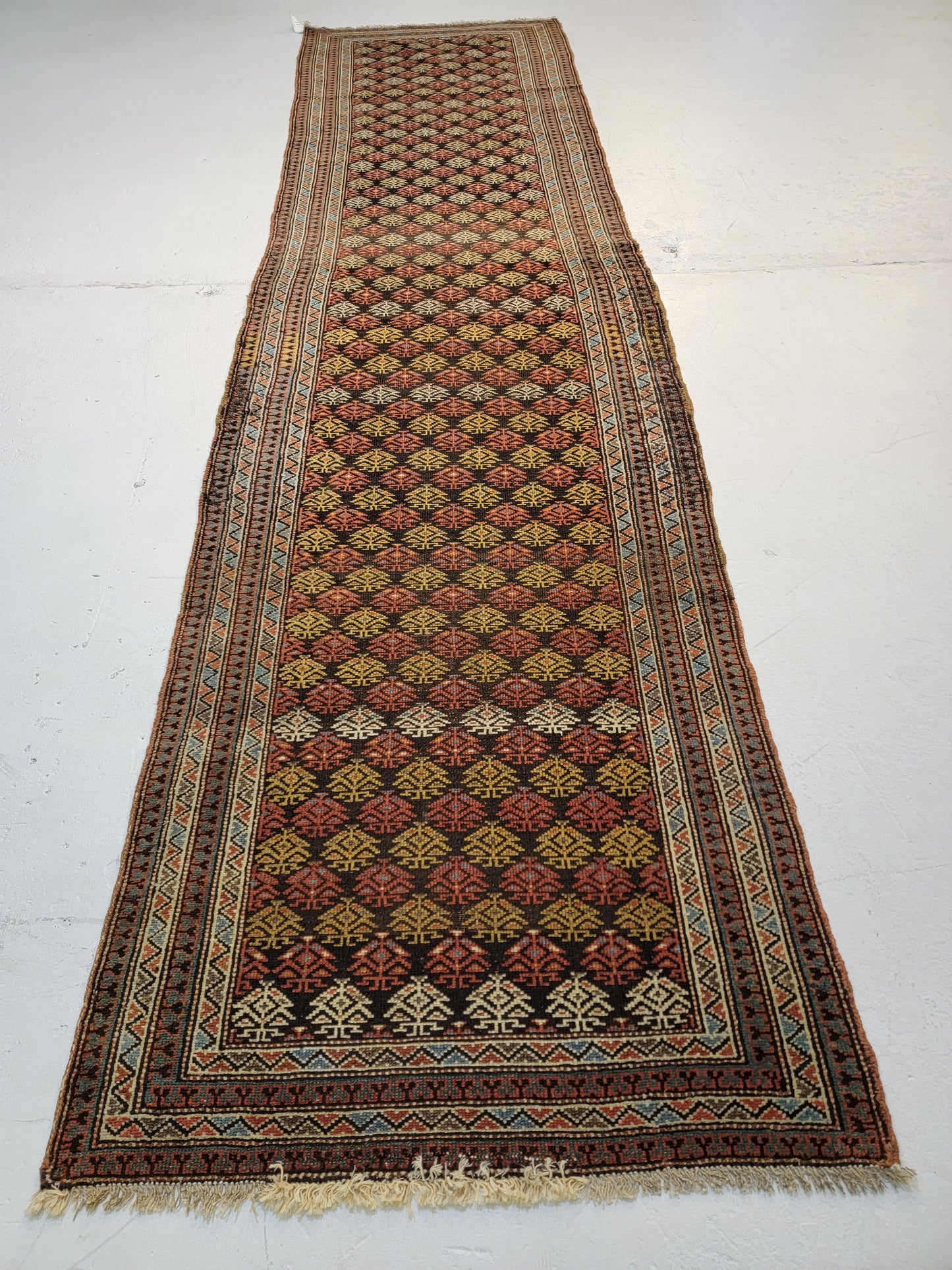 Antique Hand-Knotted Wool Runner Kurdish 2'11" x 11'5"