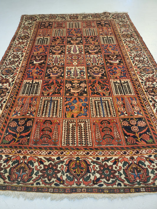 Hand-Knotted Wool Area Rug Bakhtiari 6'10" x 10'4"
