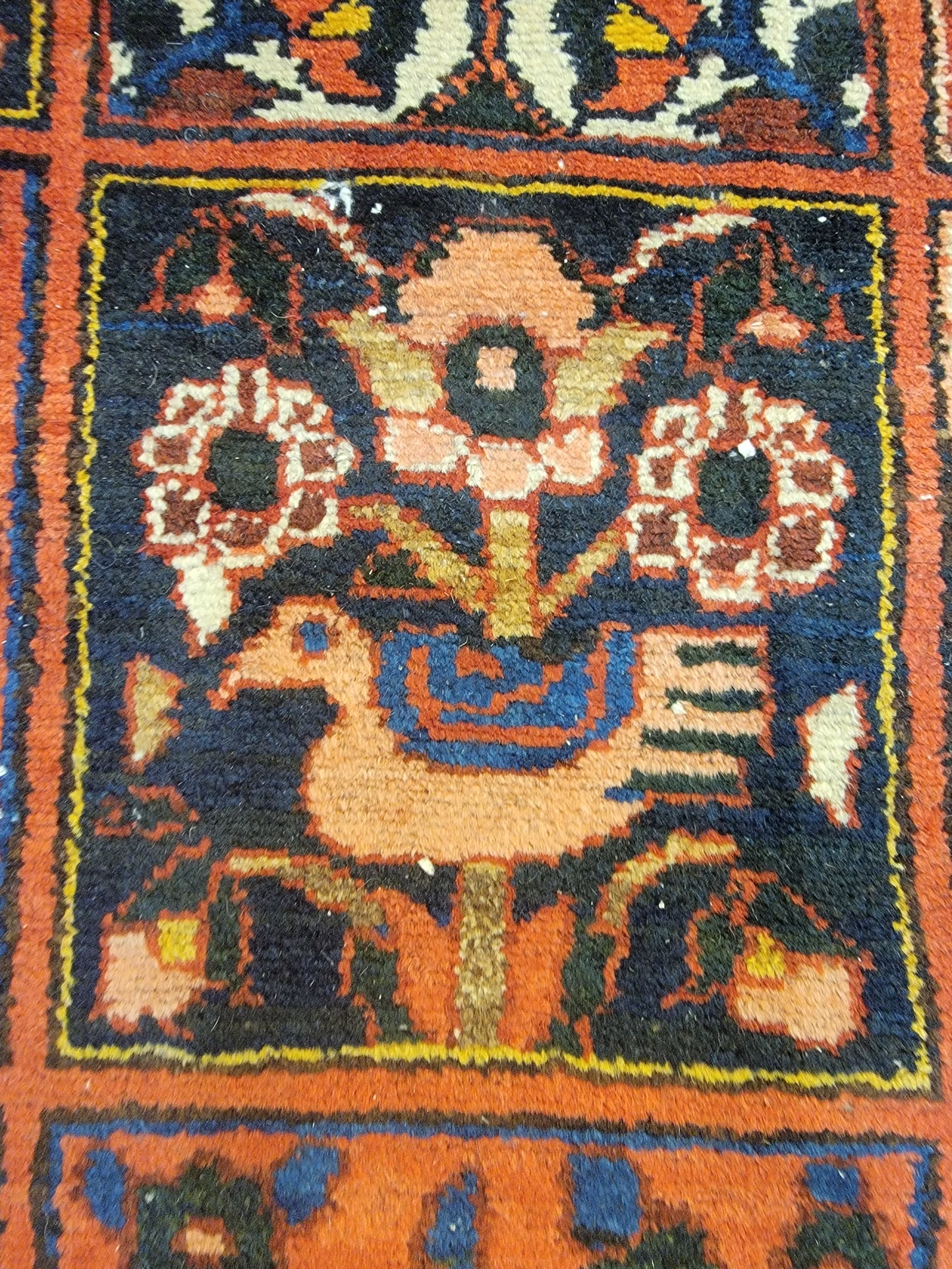 Hand-Knotted Wool Area Rug Bakhtiari 6'10" x 10'4"
