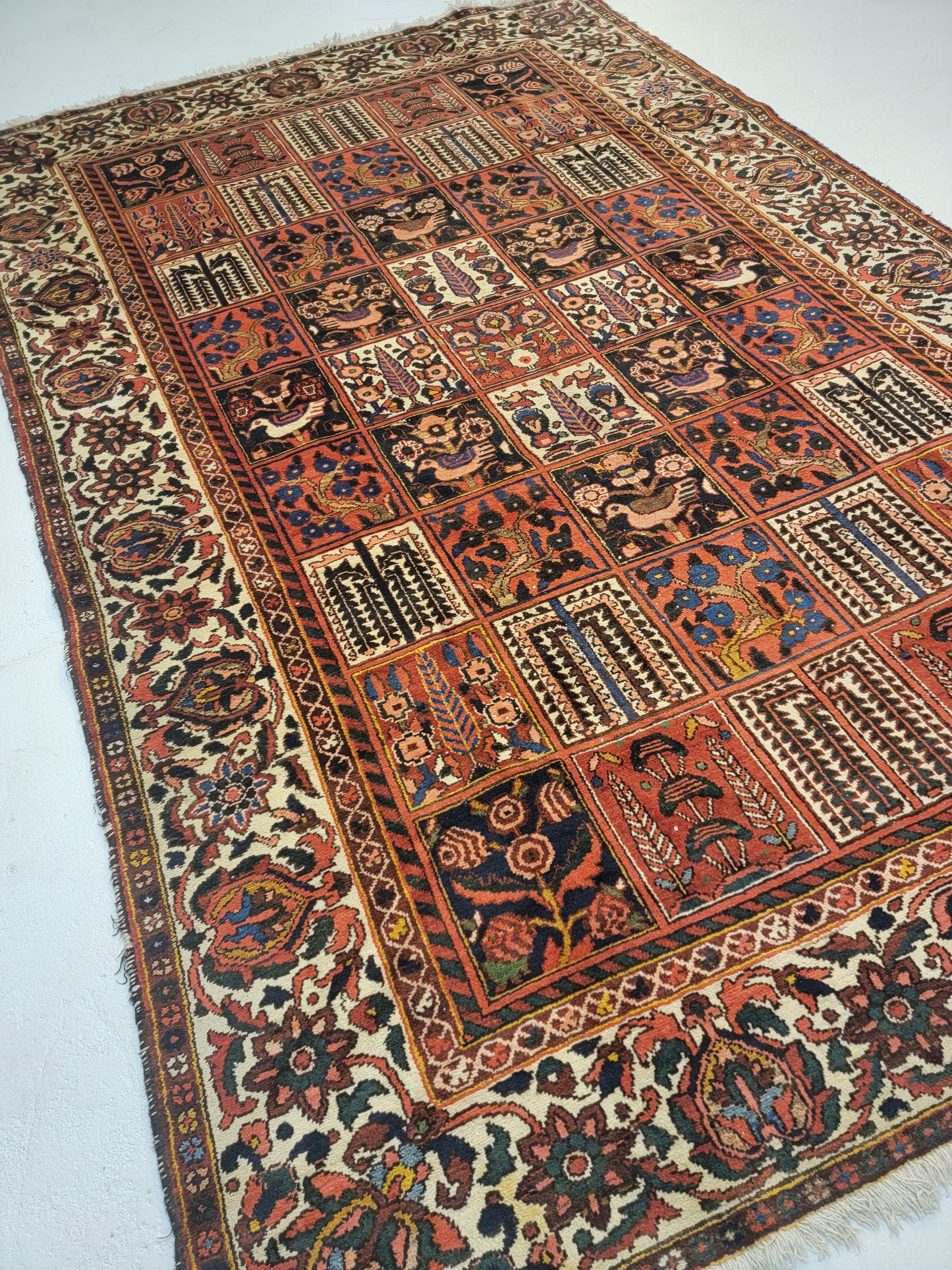 Hand-Knotted Wool Area Rug Bakhtiari 6'10" x 10'4"