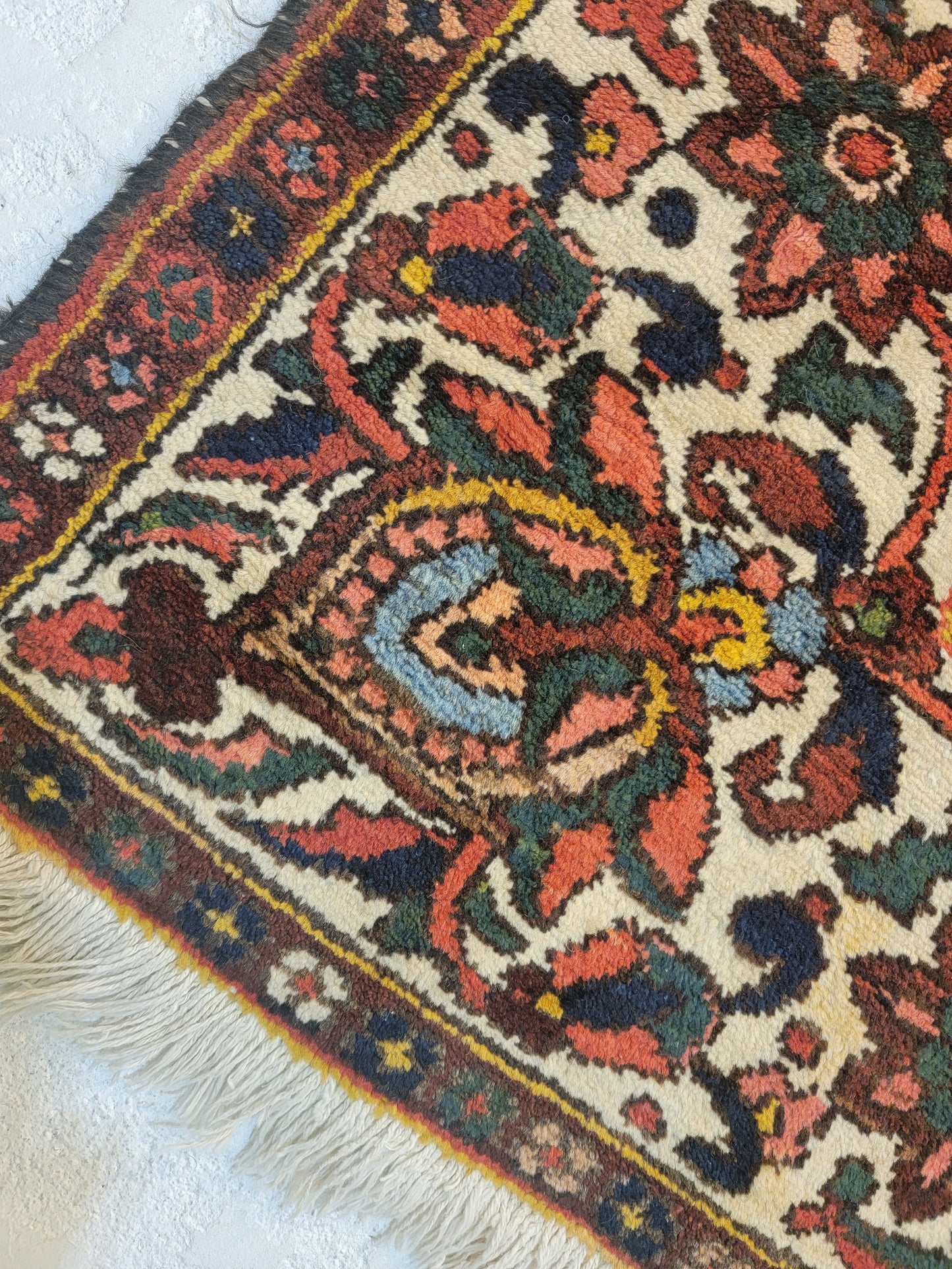Hand-Knotted Wool Area Rug Bakhtiari 6'10" x 10'4"