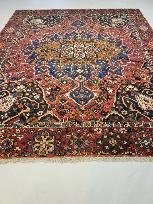 Hand-Knotted Wool Rug Bakhtiari 9'2" x 11'6"