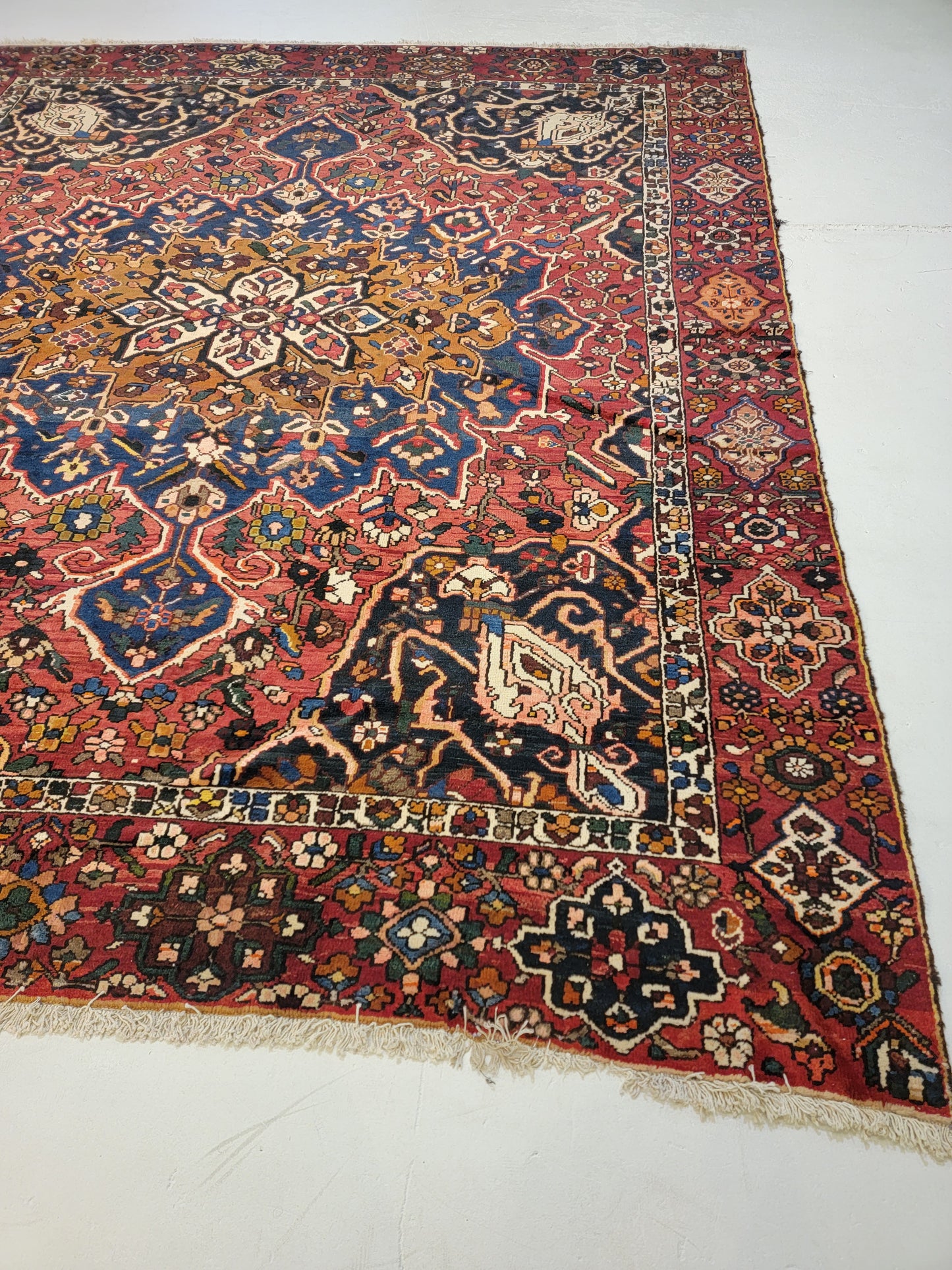 Hand-Knotted Wool Rug Bakhtiari 9'2" x 11'6"