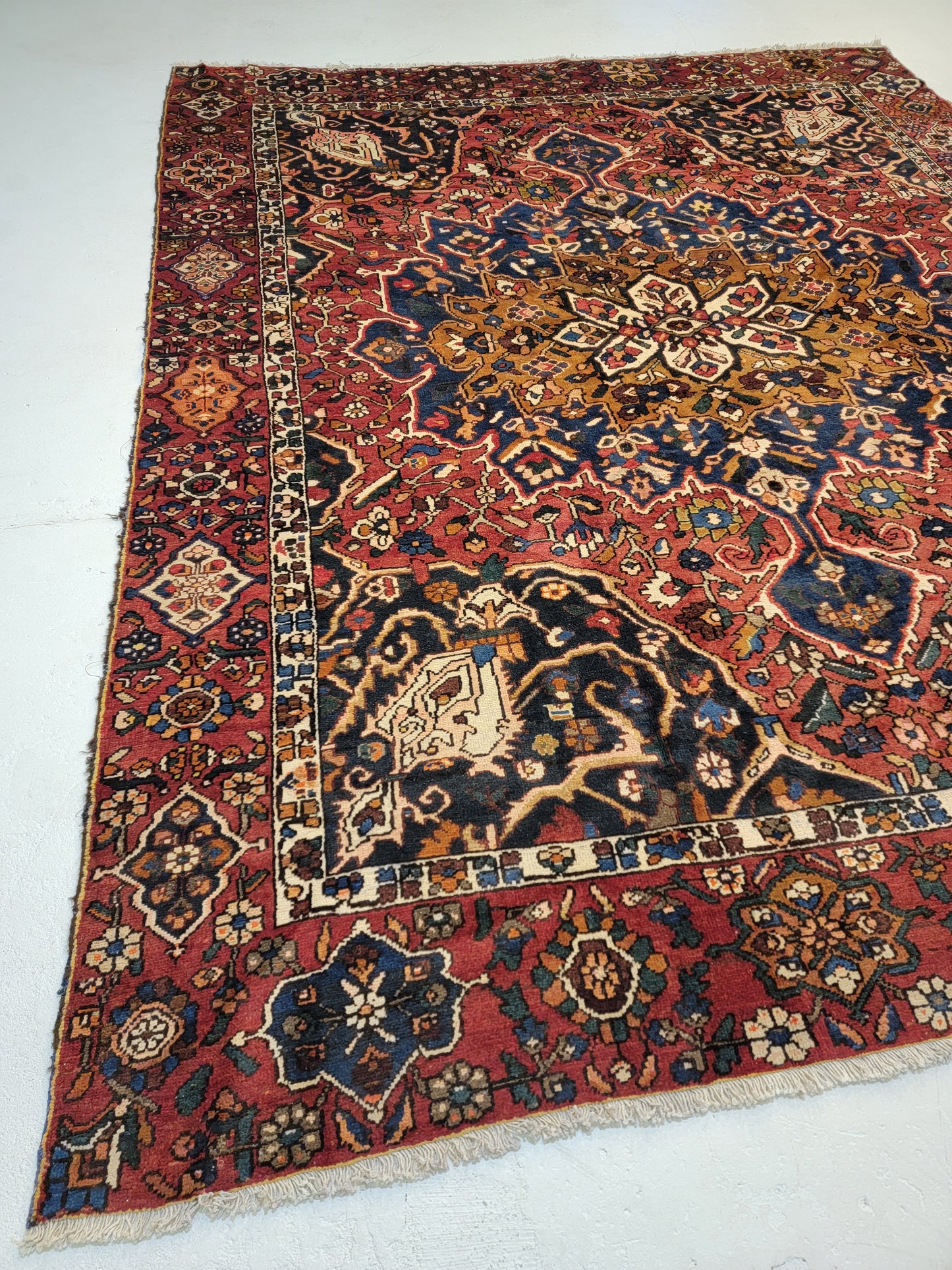 Hand-Knotted Wool Rug Bakhtiari 9'2" x 11'6"