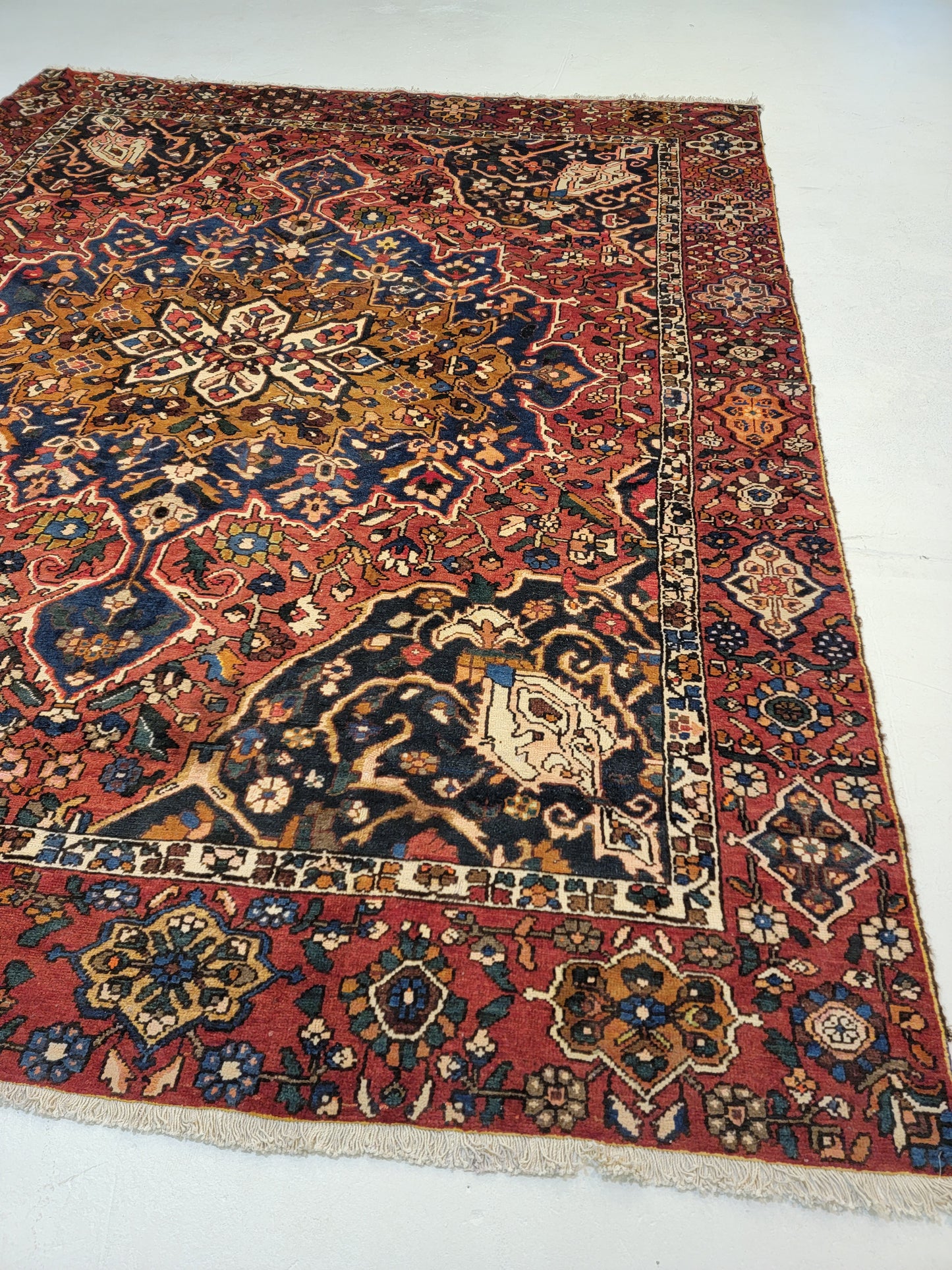 Hand-Knotted Wool Rug Bakhtiari 9'2" x 11'6"