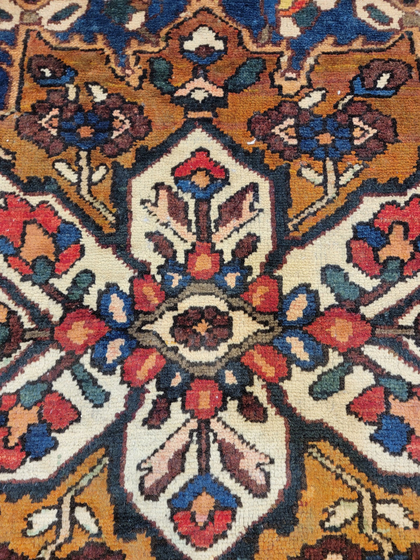 Hand-Knotted Wool Rug Bakhtiari 9'2" x 11'6"