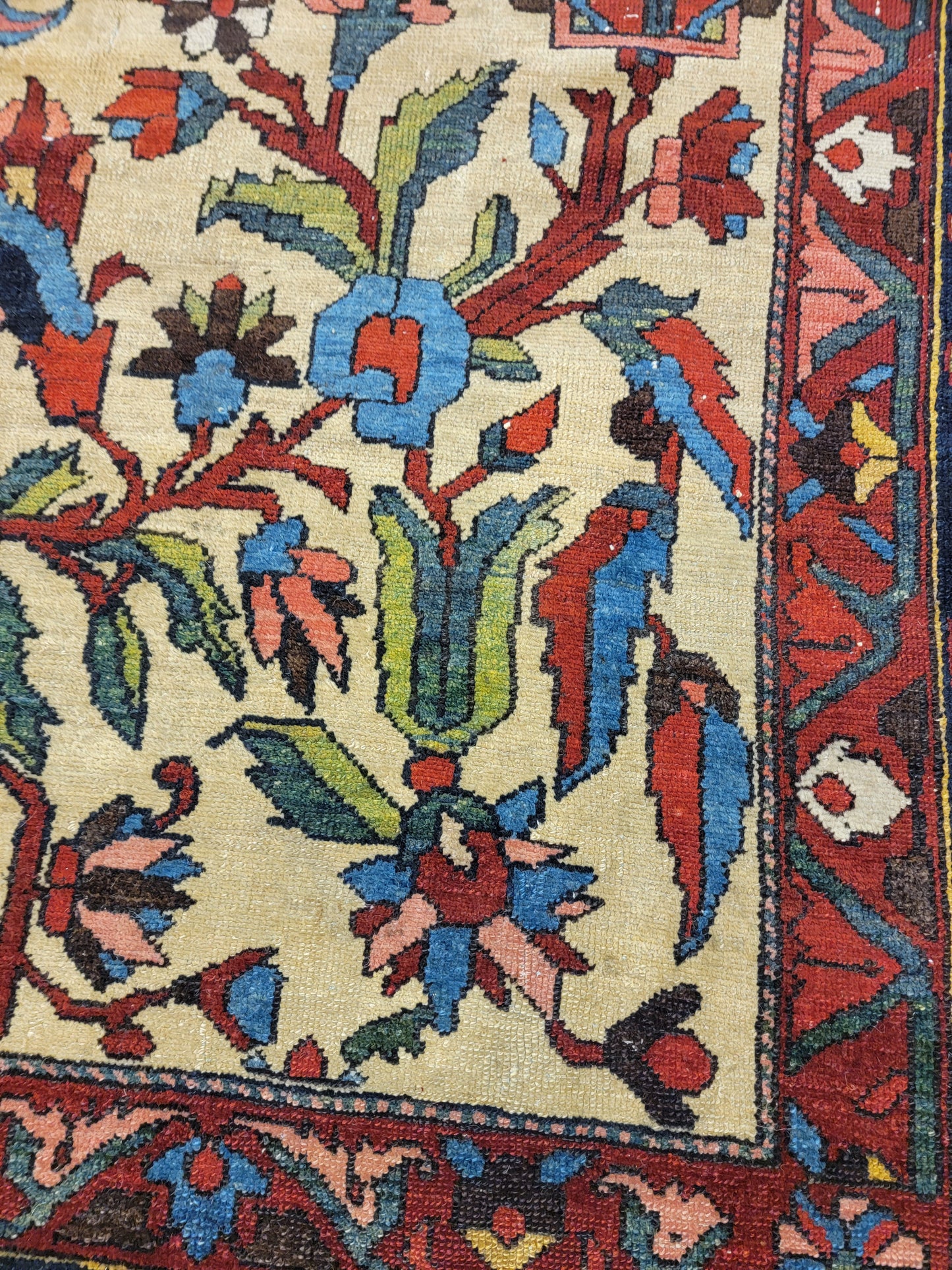 Hand-Knotted Wool Rug Bakhtiari 11'5" x 16'3"