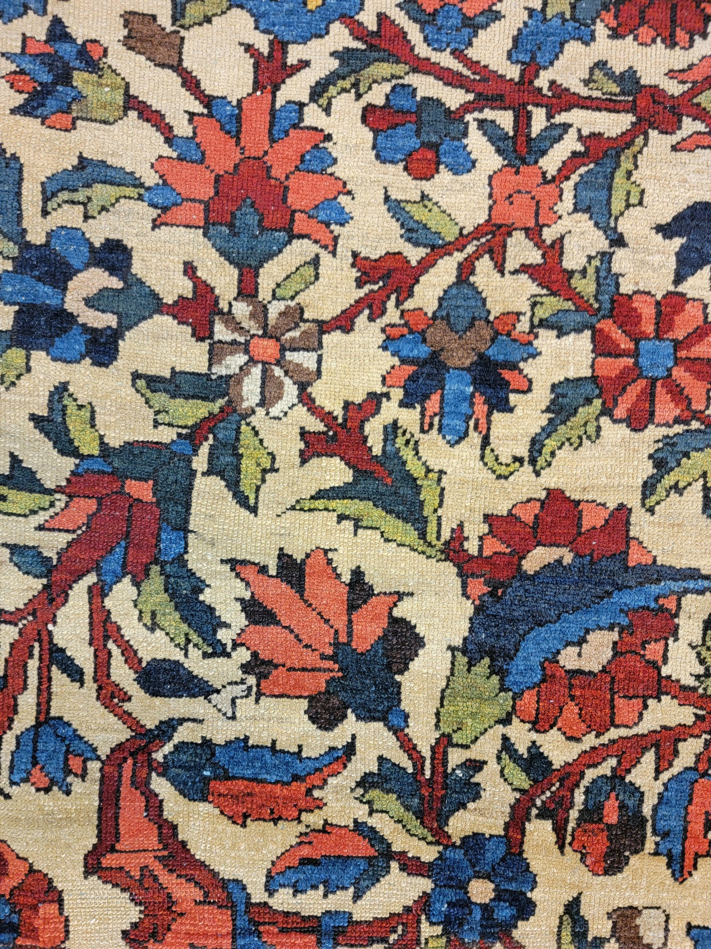 Hand-Knotted Wool Rug Bakhtiari 11'5" x 16'3"
