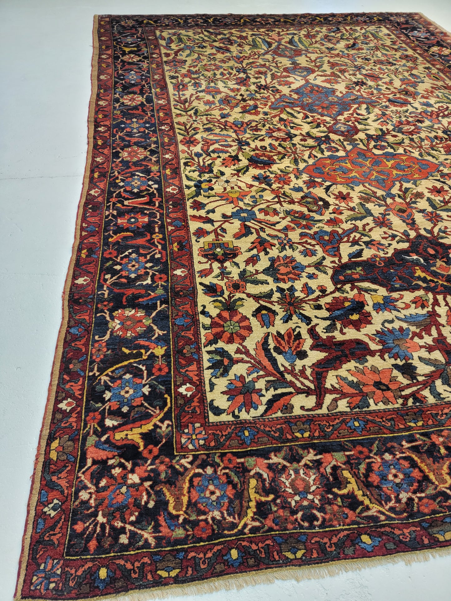 Hand-Knotted Wool Rug Bakhtiari 11'5" x 16'3"