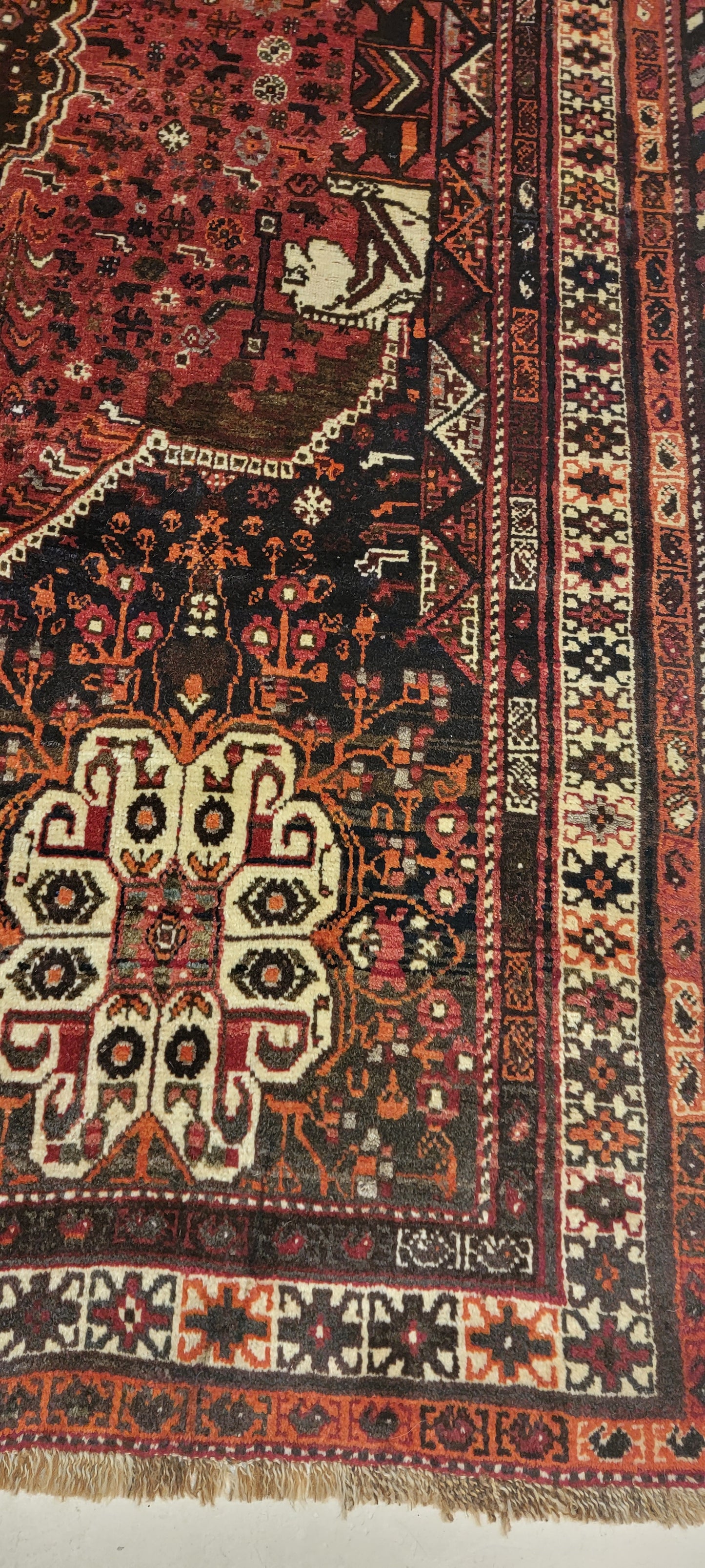Hand-Knotted Wool Rug Shiraz 6' x 9'