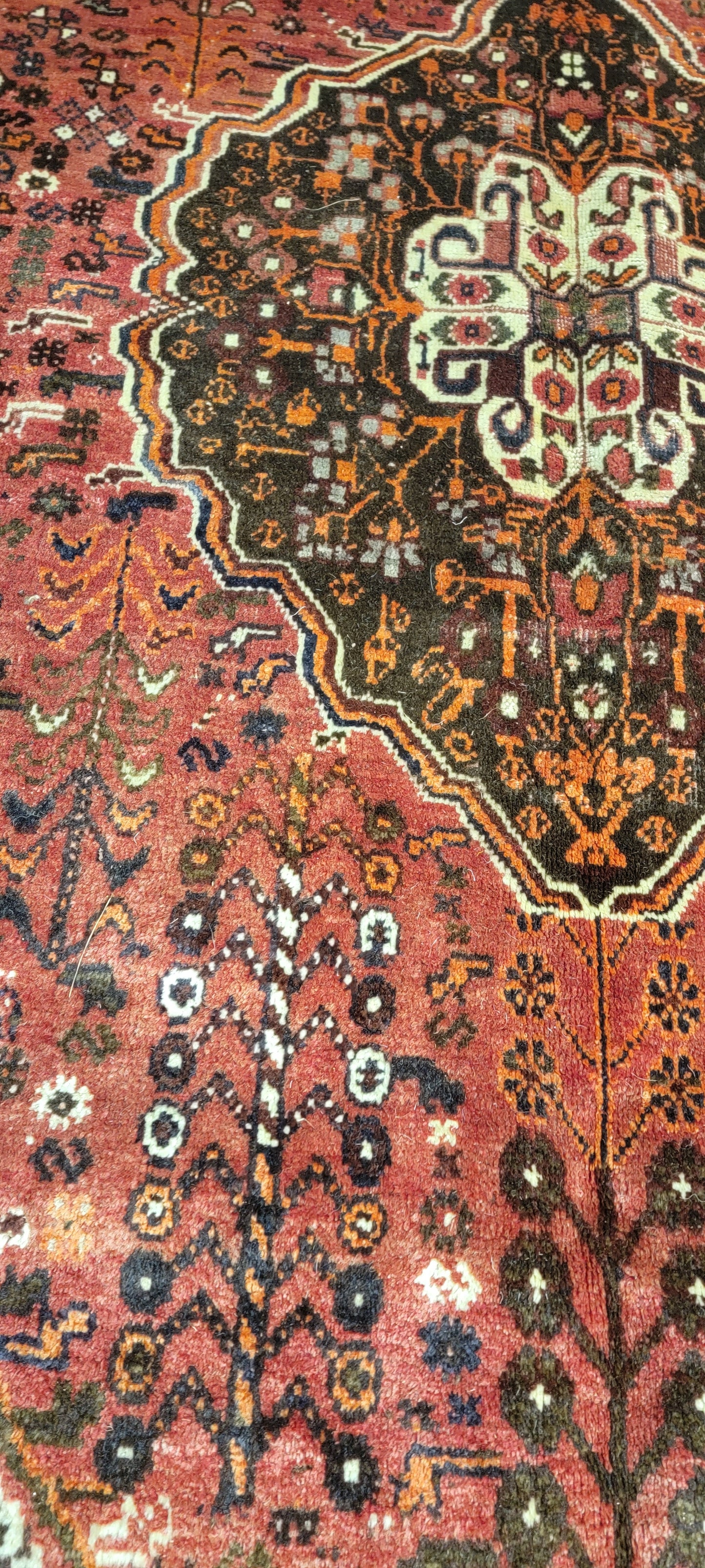 Hand-Knotted Wool Rug Shiraz 6' x 9'