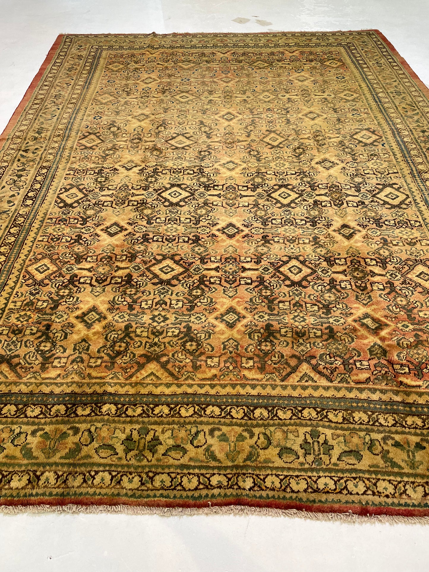 Hand-Knotted Wool Rug Tabriz 8'10" x 12'2"