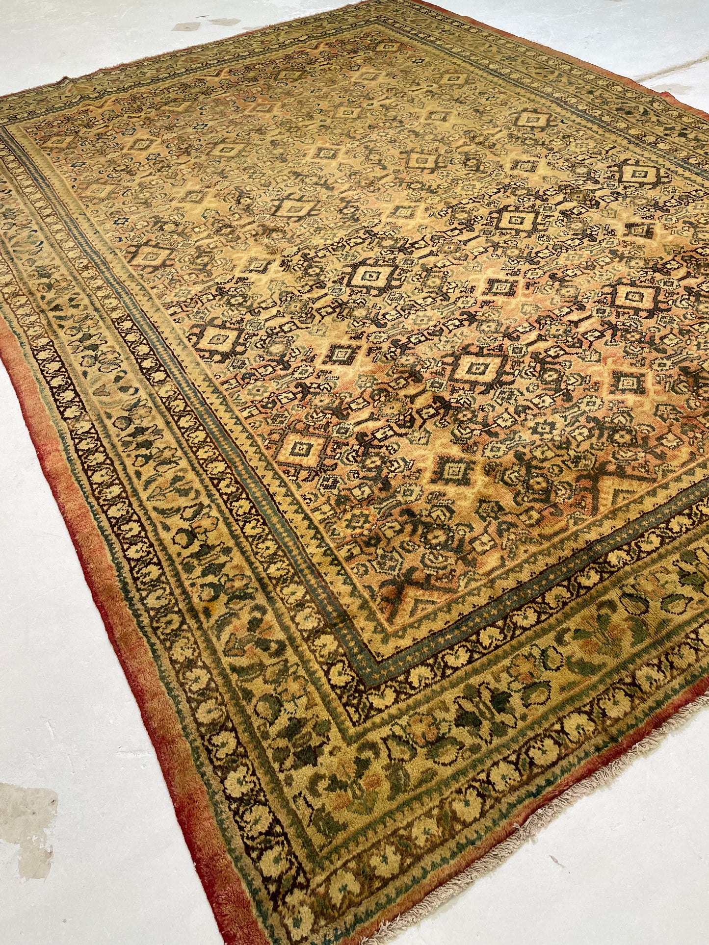 Hand-Knotted Wool Rug Tabriz 8'10" x 12'2"