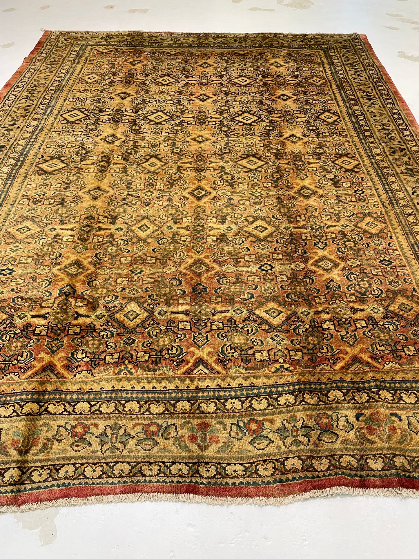 Hand-Knotted Wool Rug Tabriz 8'10" x 12'2"